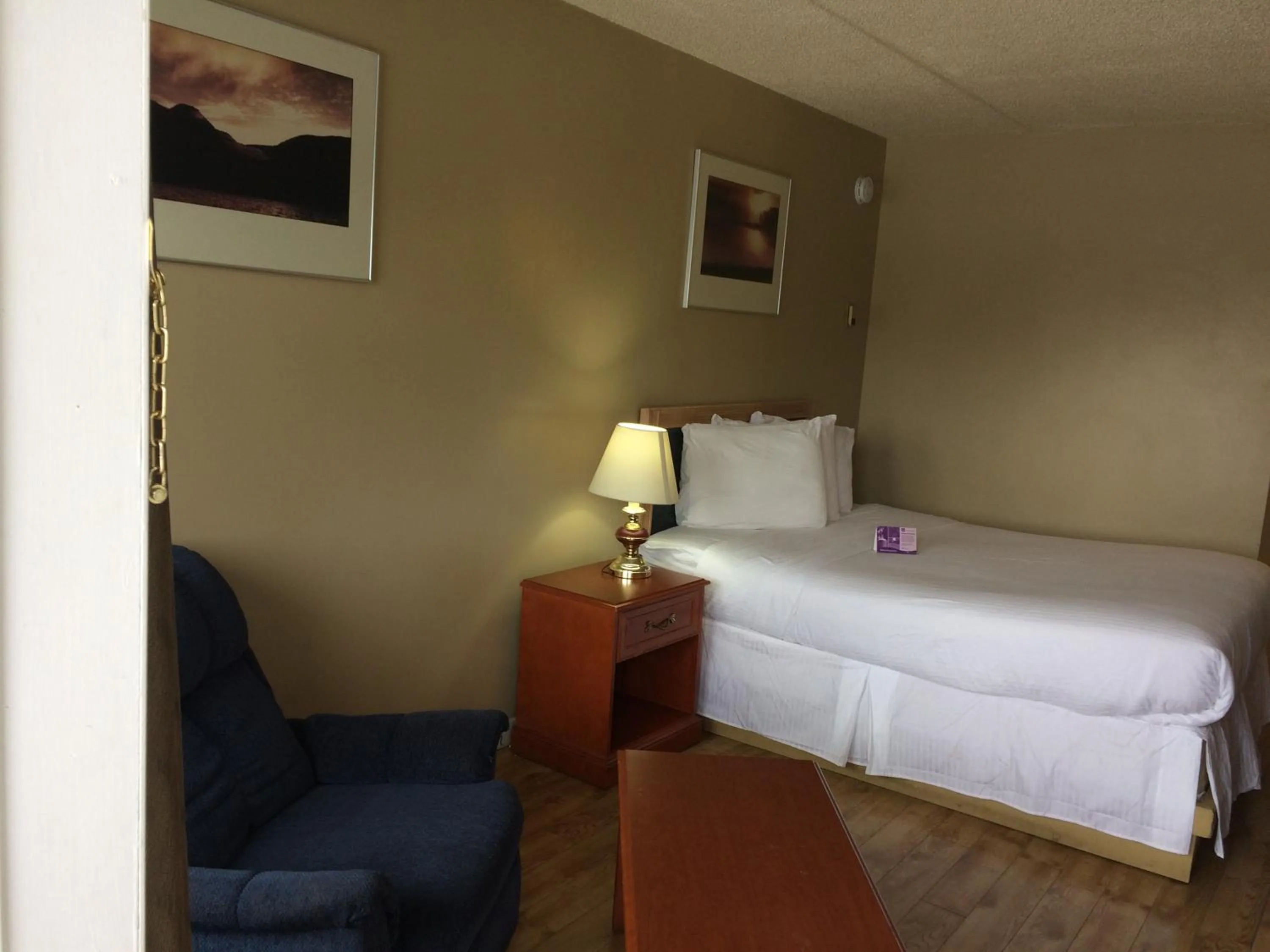 Pets in Nice Inn Edmonton