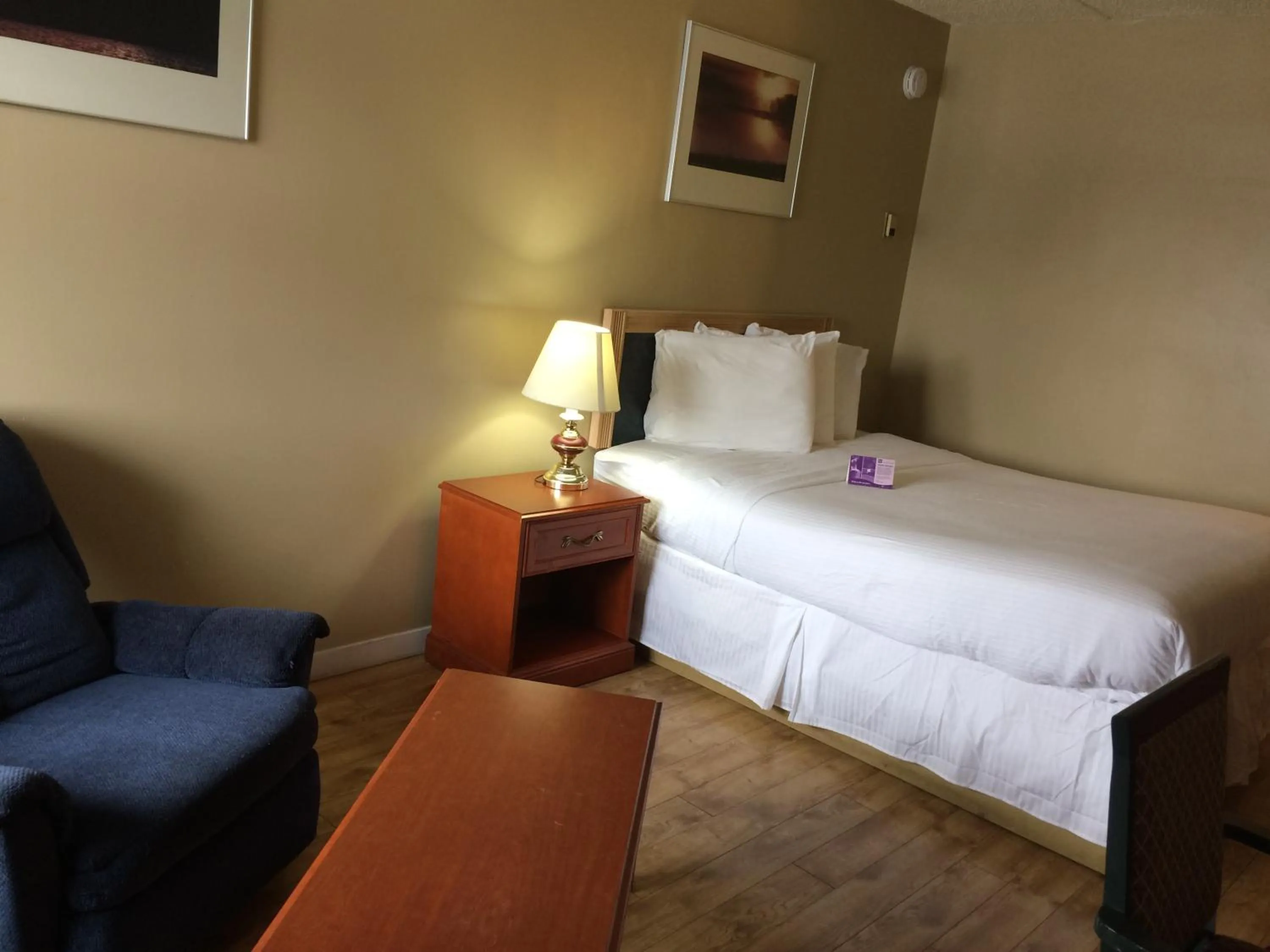 Animals in Nice Inn Edmonton