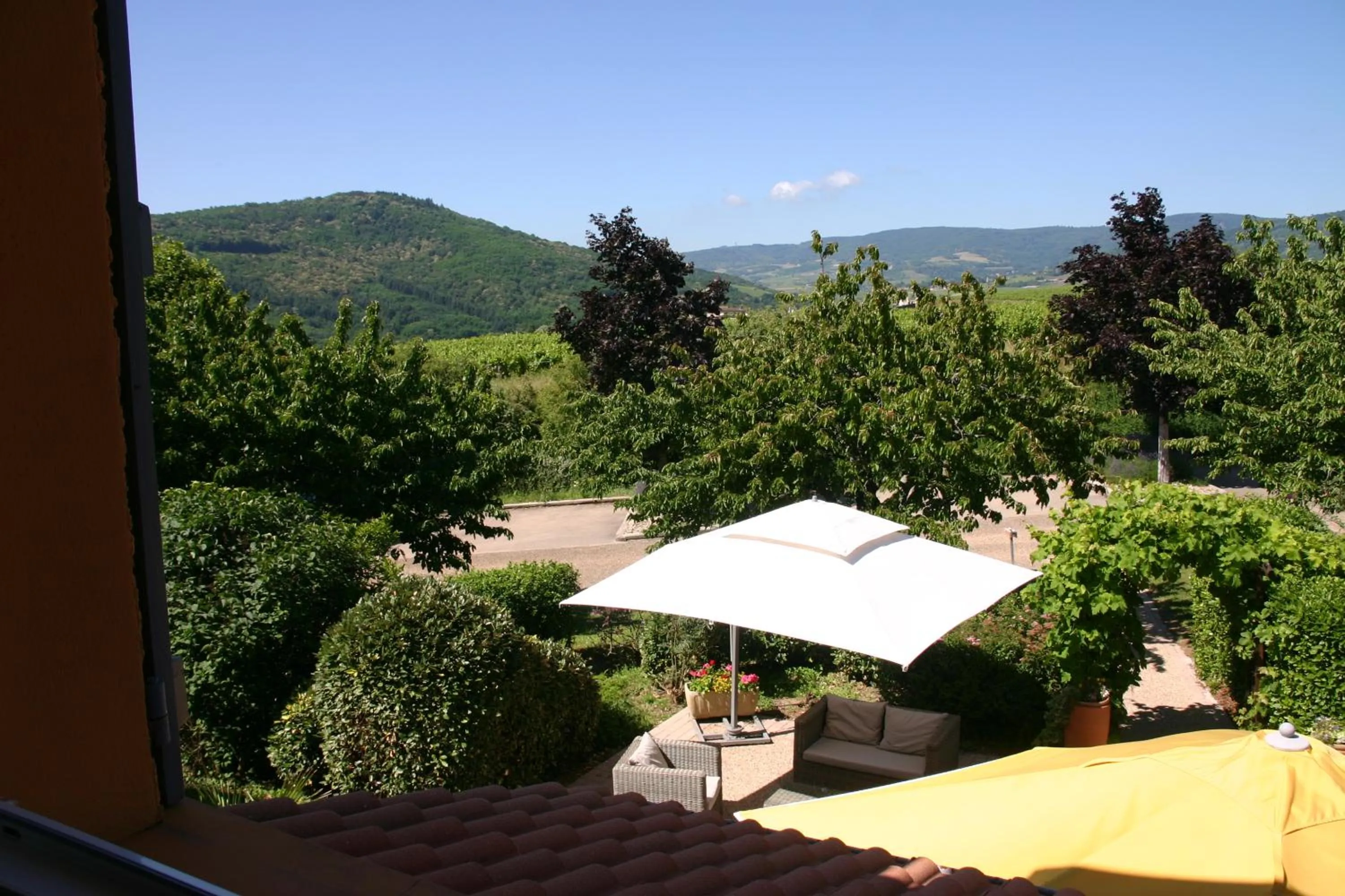 View (from property/room) in Hôtel des Vignes - Juliénas