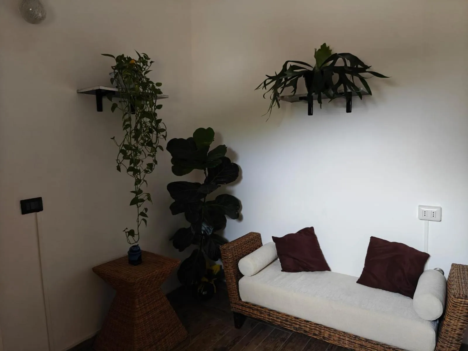 Facade/entrance in Albero della musica