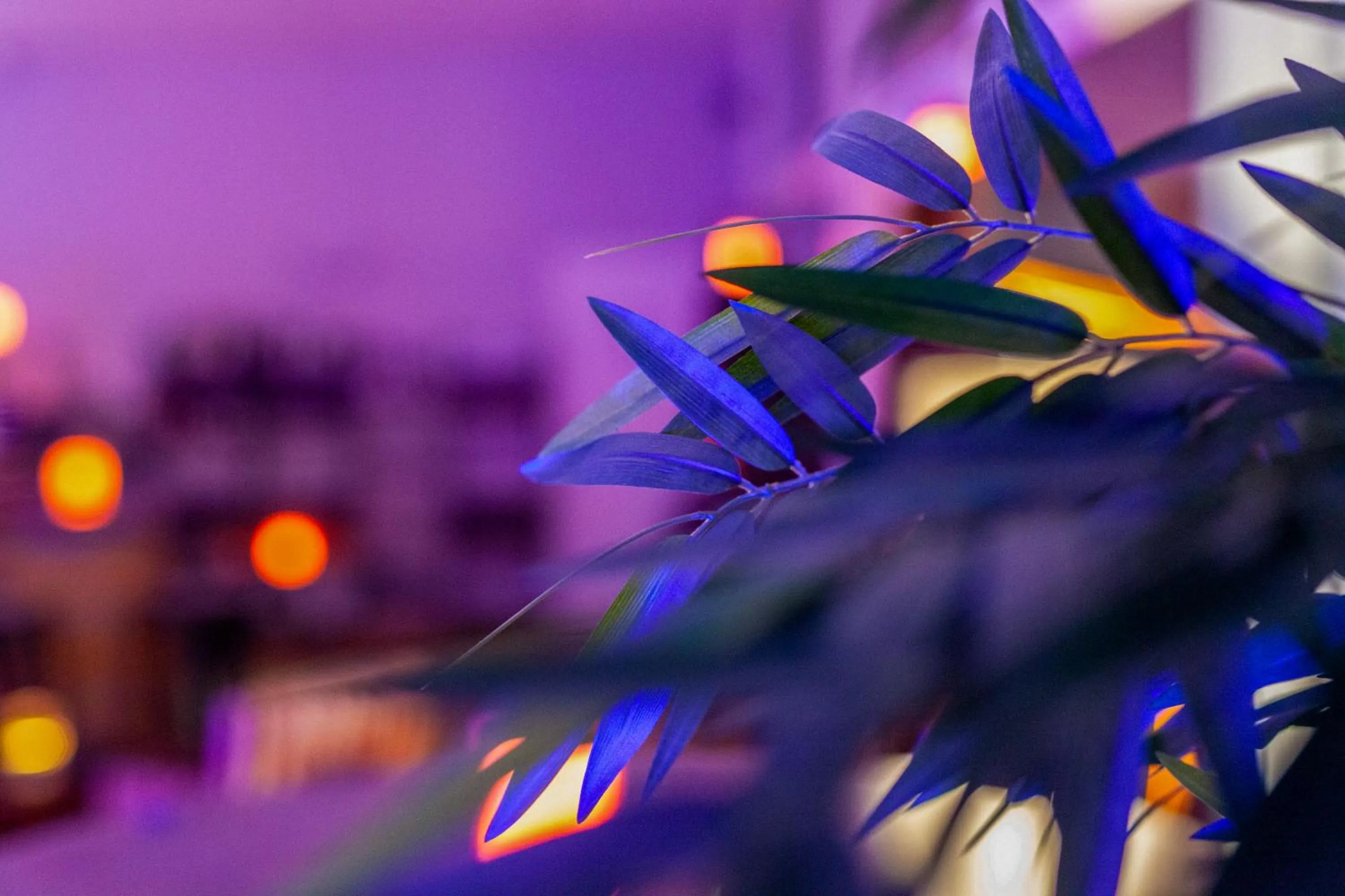 Lounge or bar in Providence Hotel