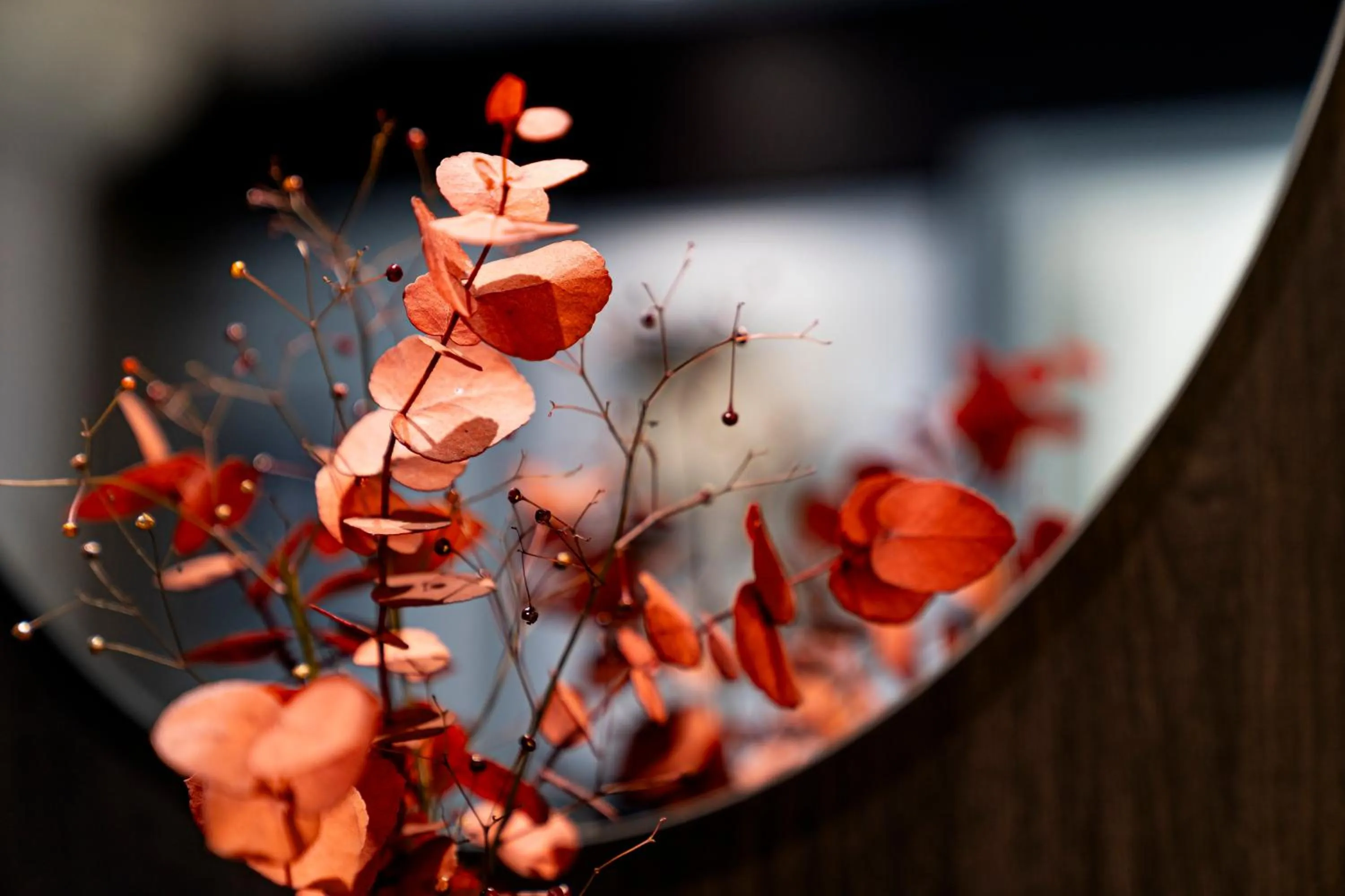 Hotel de la Paix Tour Eiffel