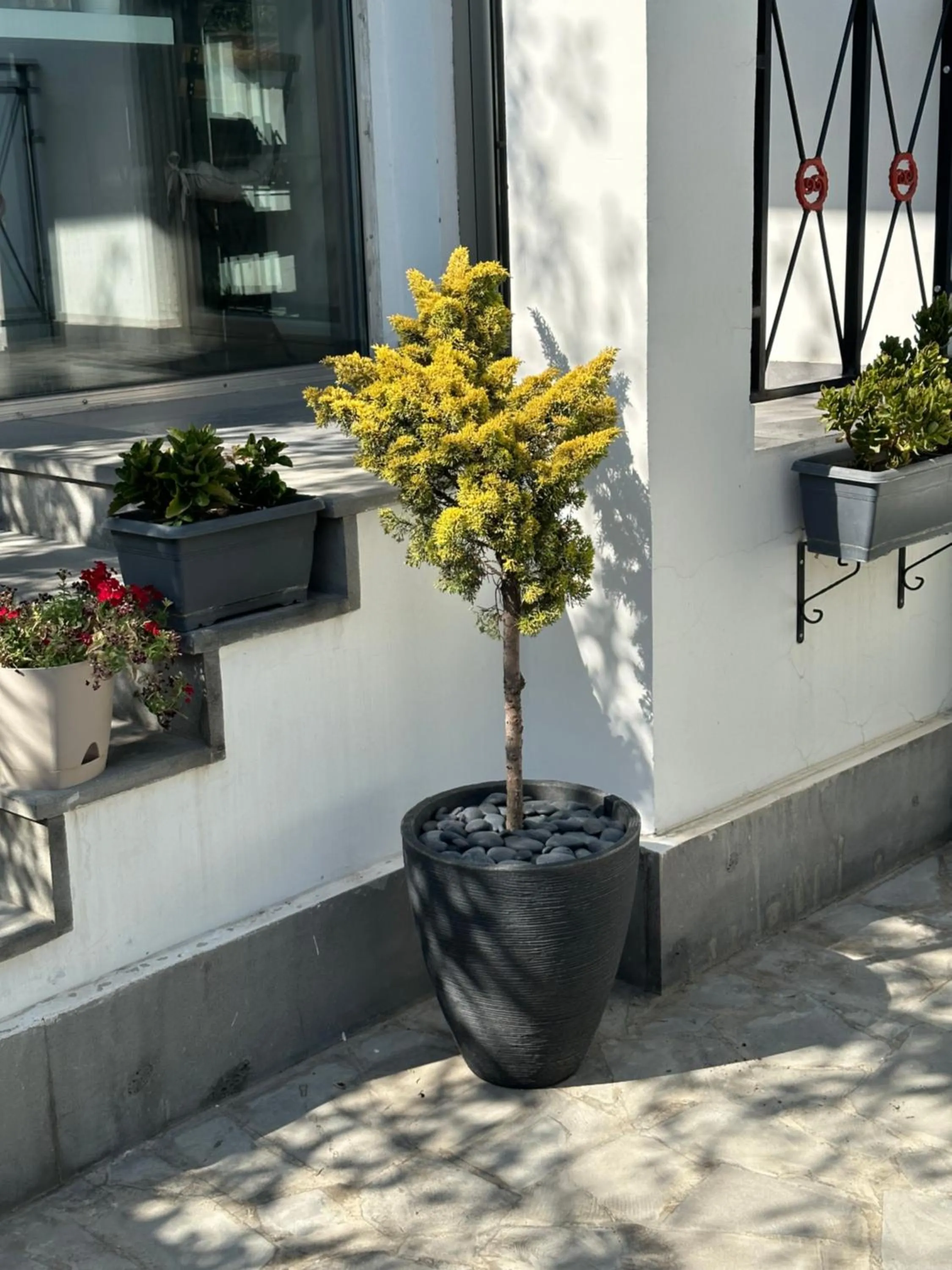 Garden in Garden Lounge Hotel