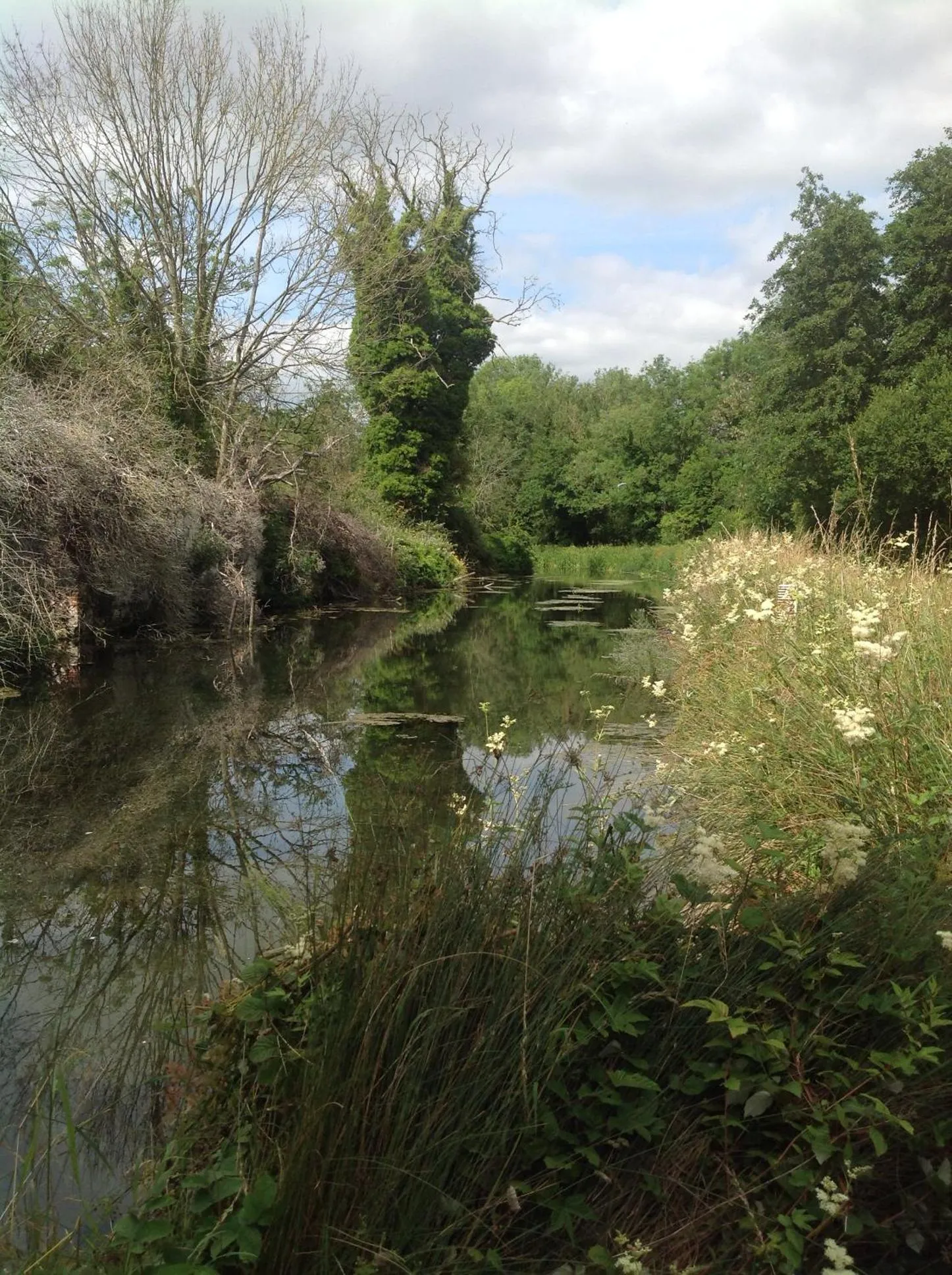 River view in The Mill House