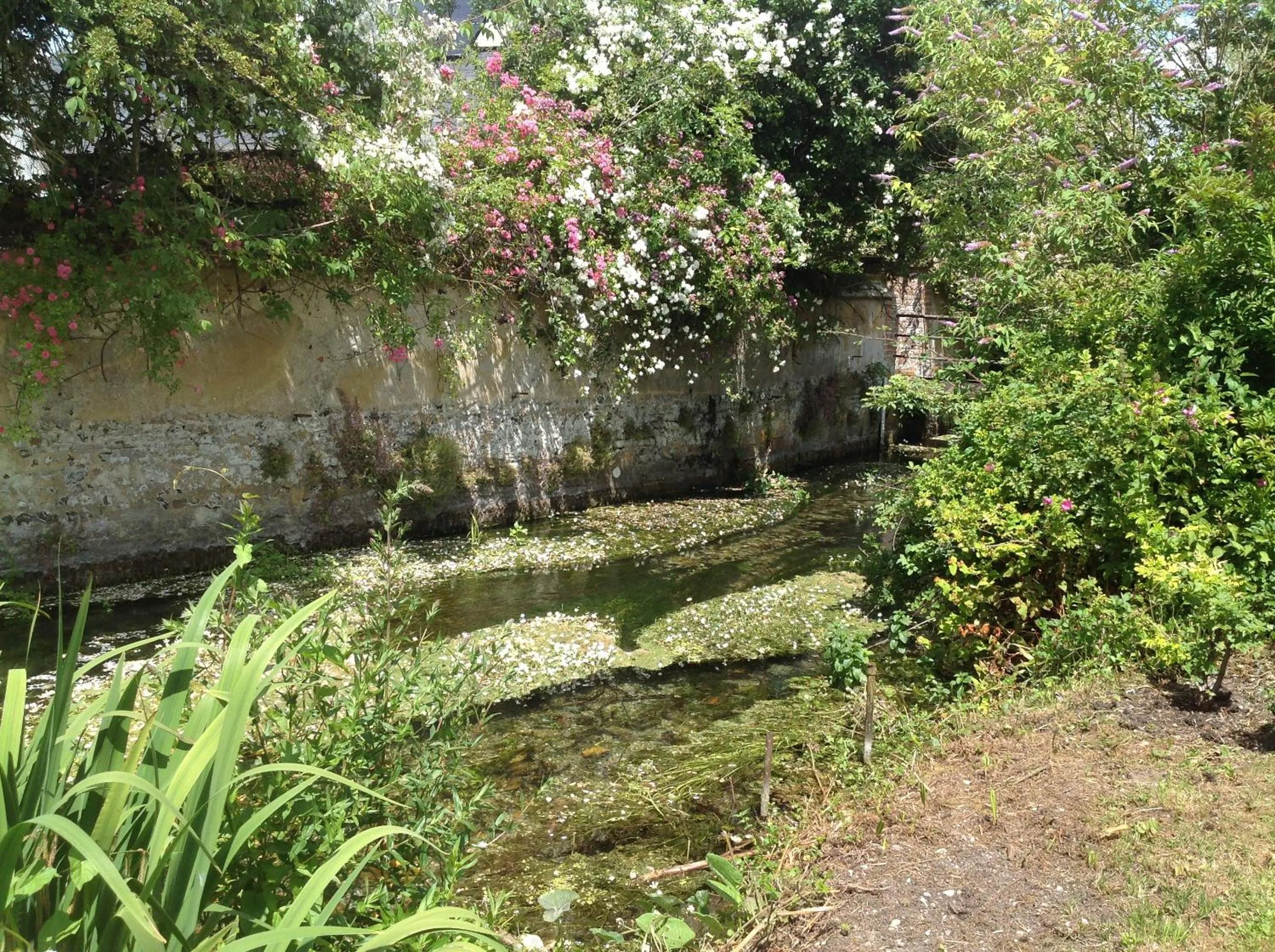 Garden view in The Mill House