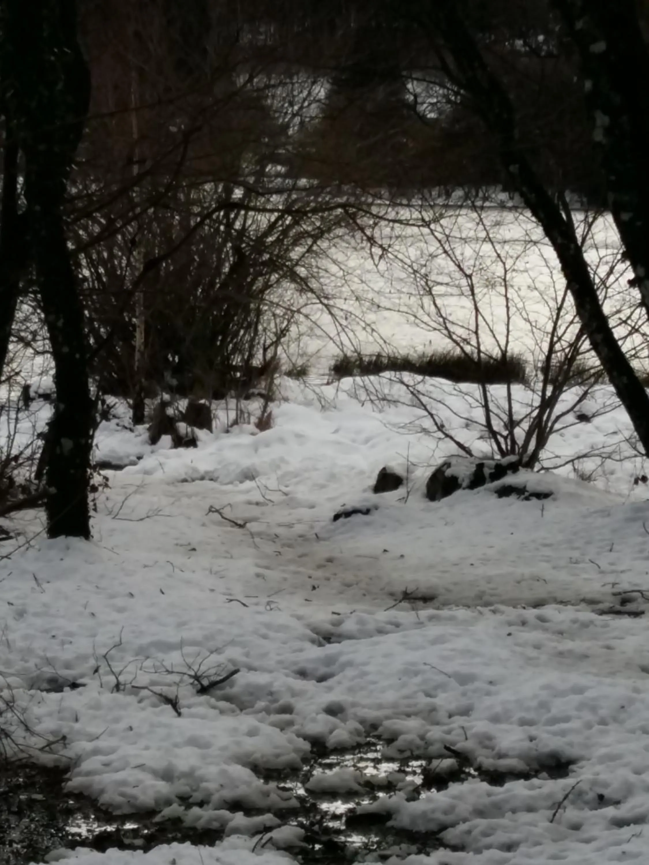 Nearby landmark in Quai de l ' Arnette