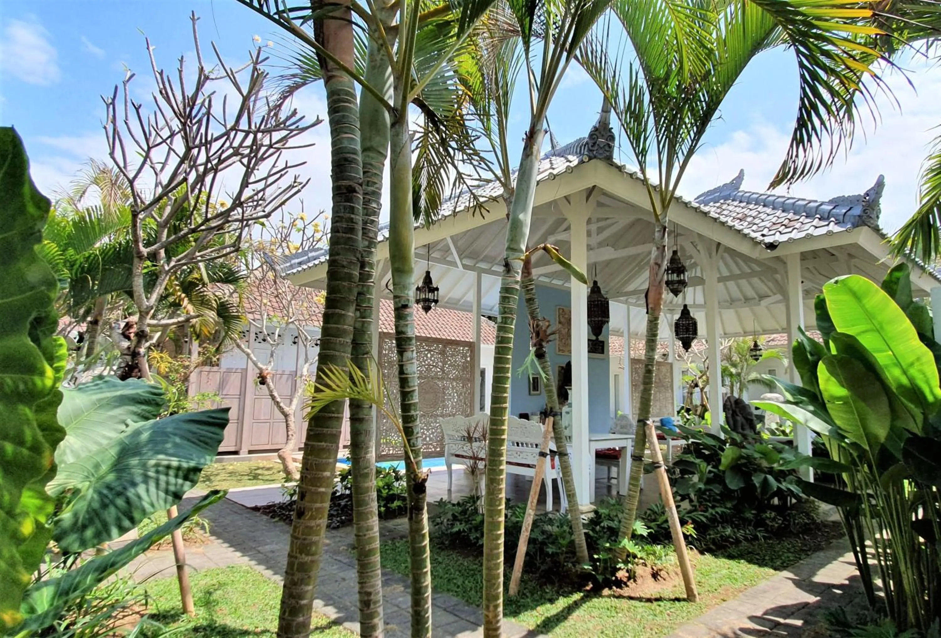 Garden in Starling villas