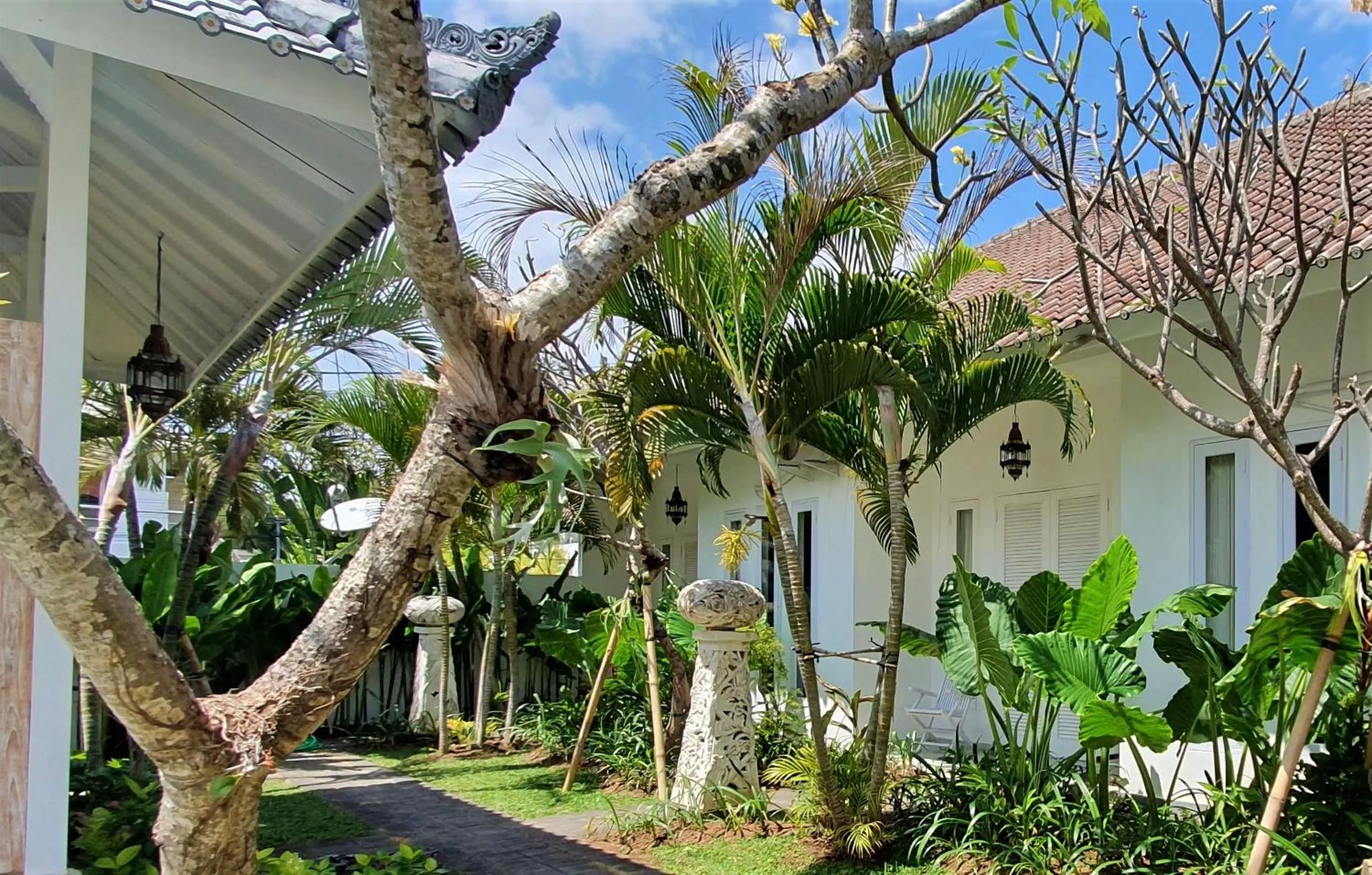 Garden in Starling villas