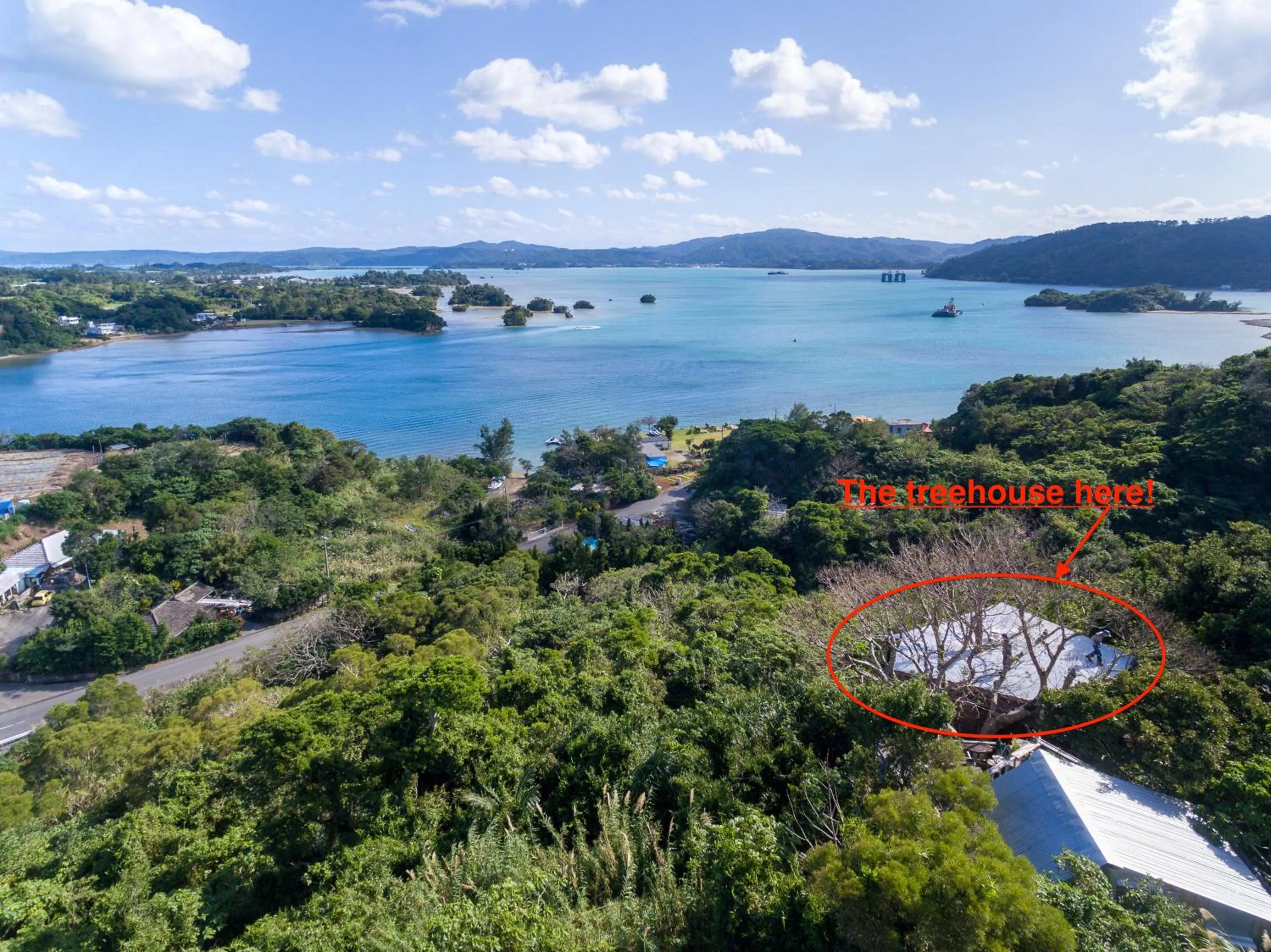 Natural landscape in Tree-house Hotel Morinosubako