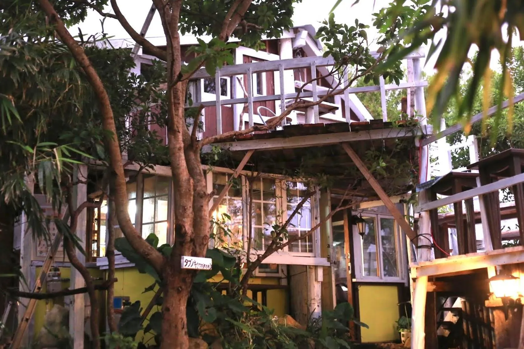 Restaurant/places to eat in Tree-house Hotel Morinosubako