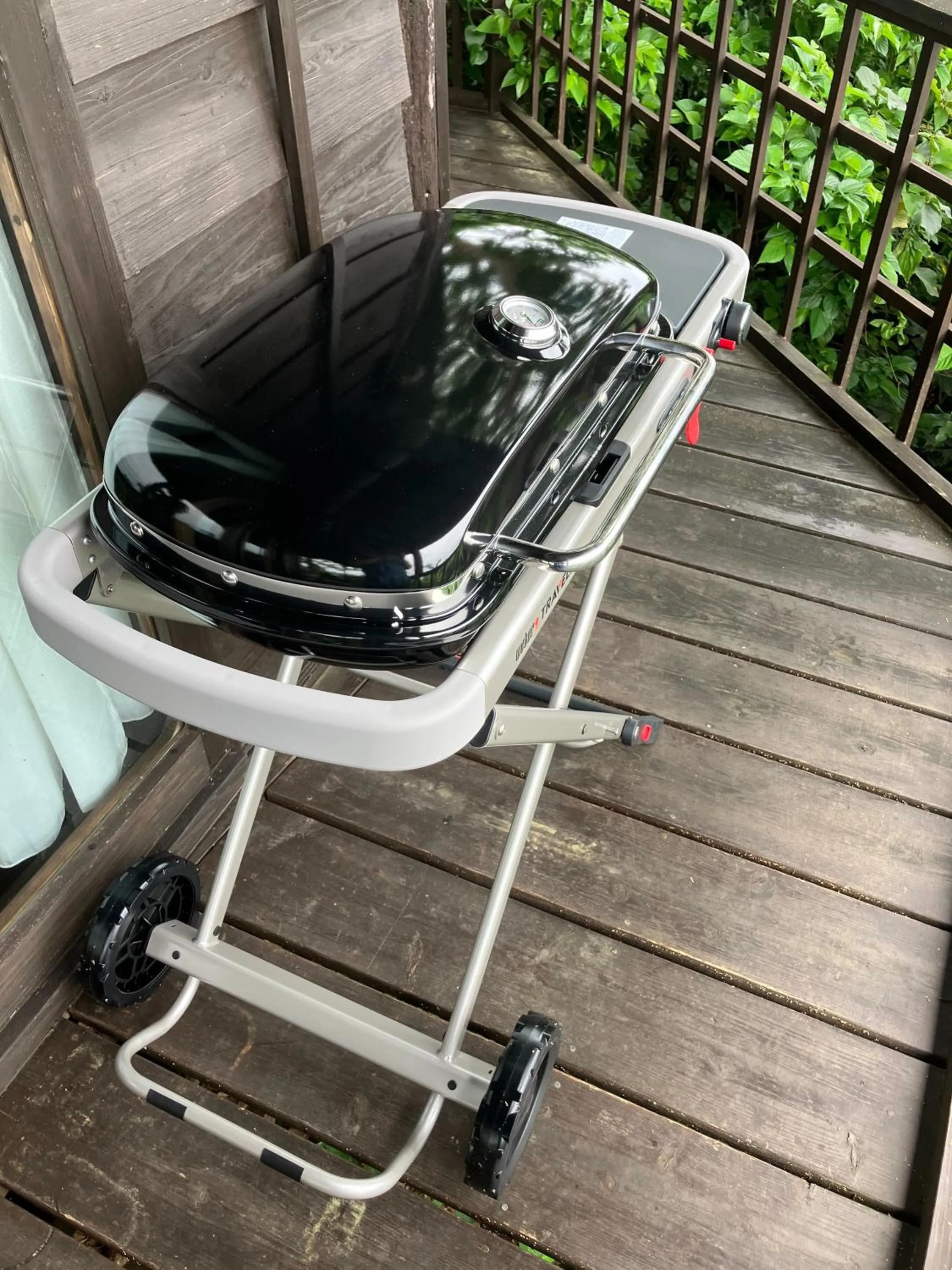 BBQ facilities in Tree-house Hotel Morinosubako