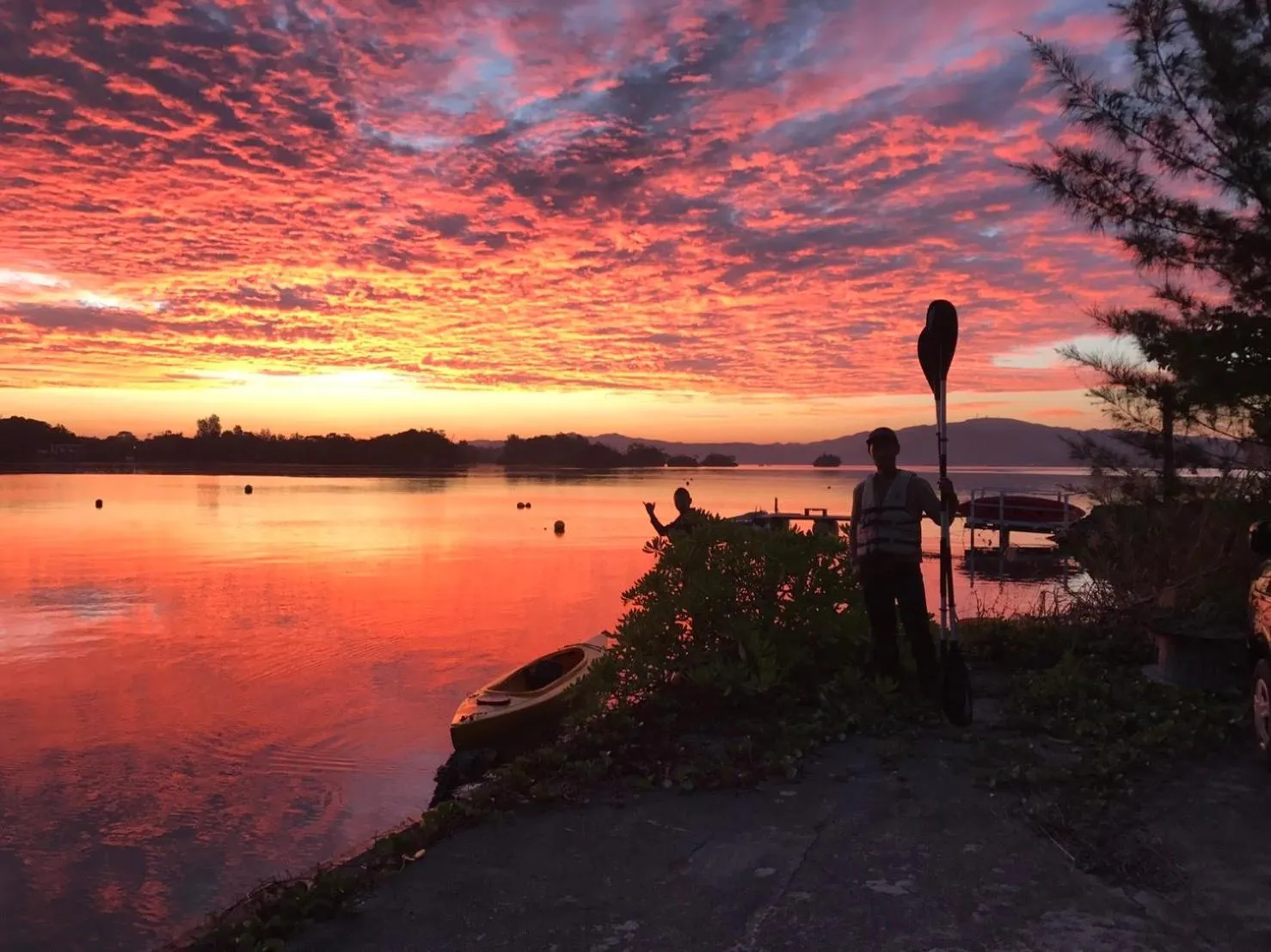 Natural landscape in Tree-house Hotel Morinosubako
