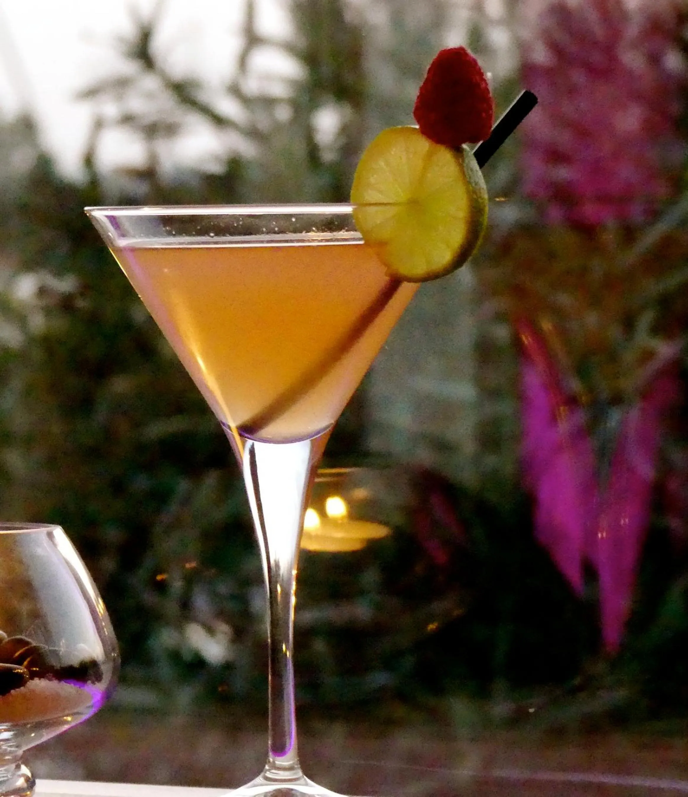 Alcoholic drinks in Hôtel L' Estelle en Camargue