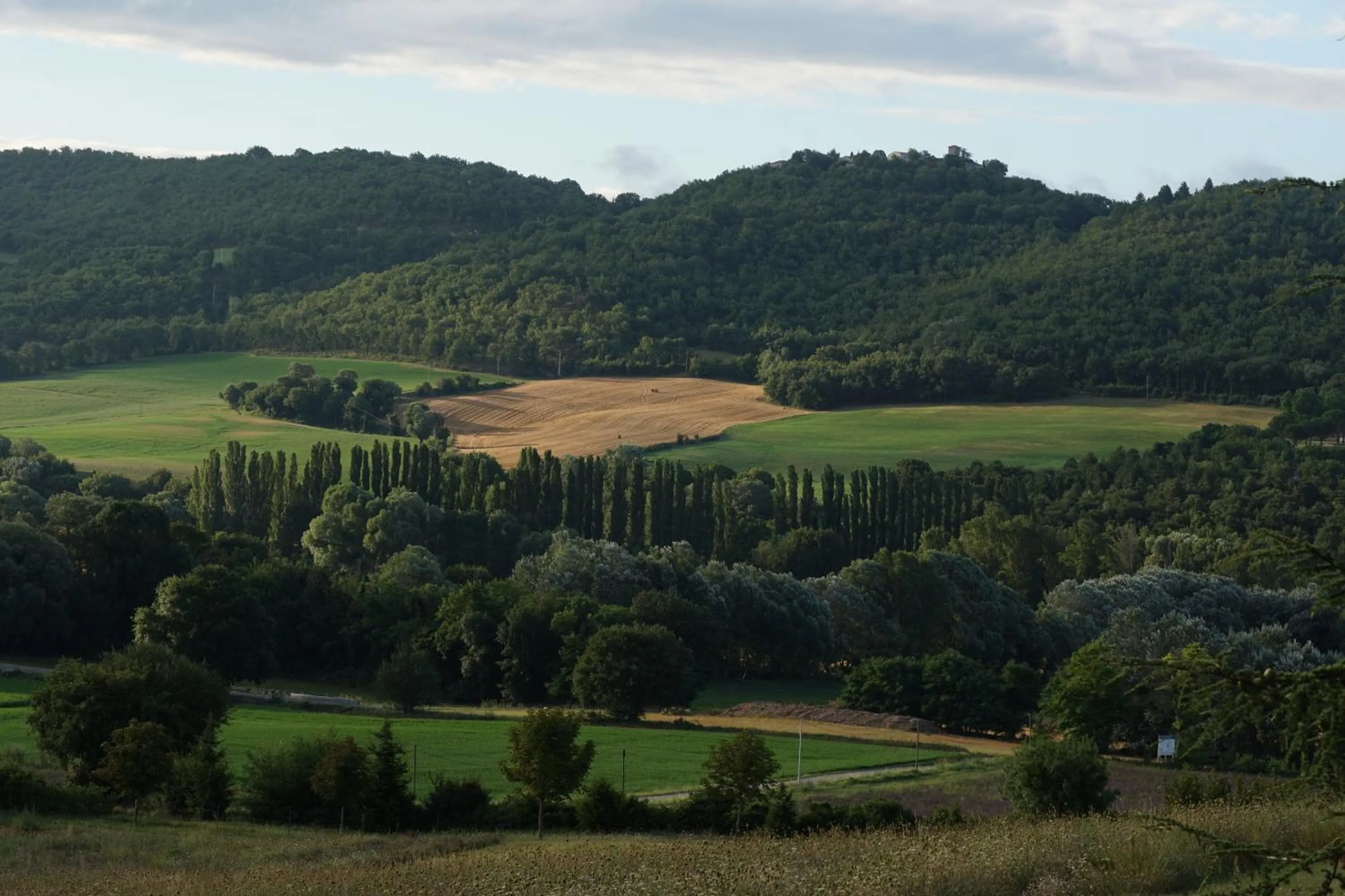 Les Néfliers chambre d'hôtes