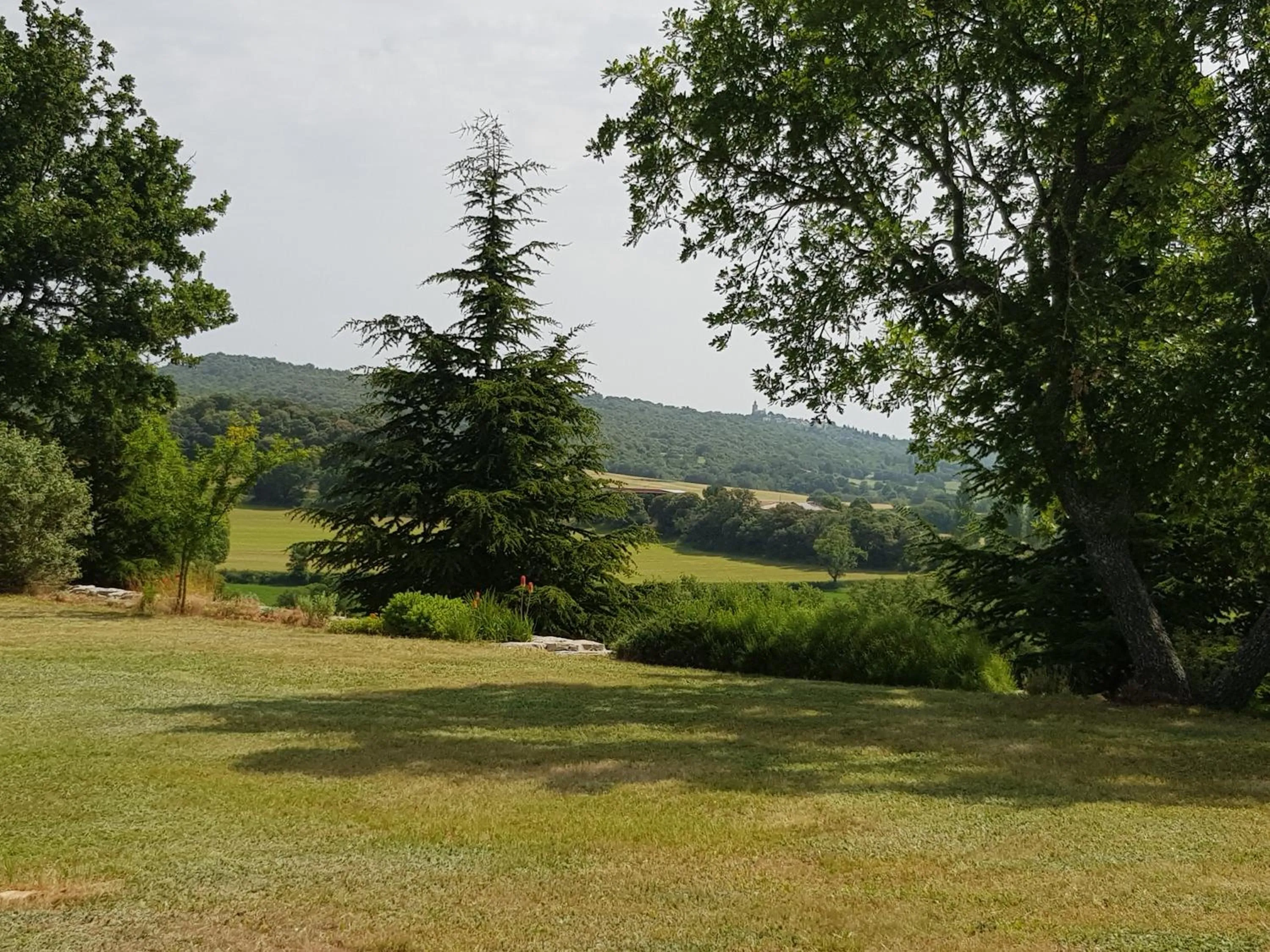 Les Néfliers chambre d'hôtes