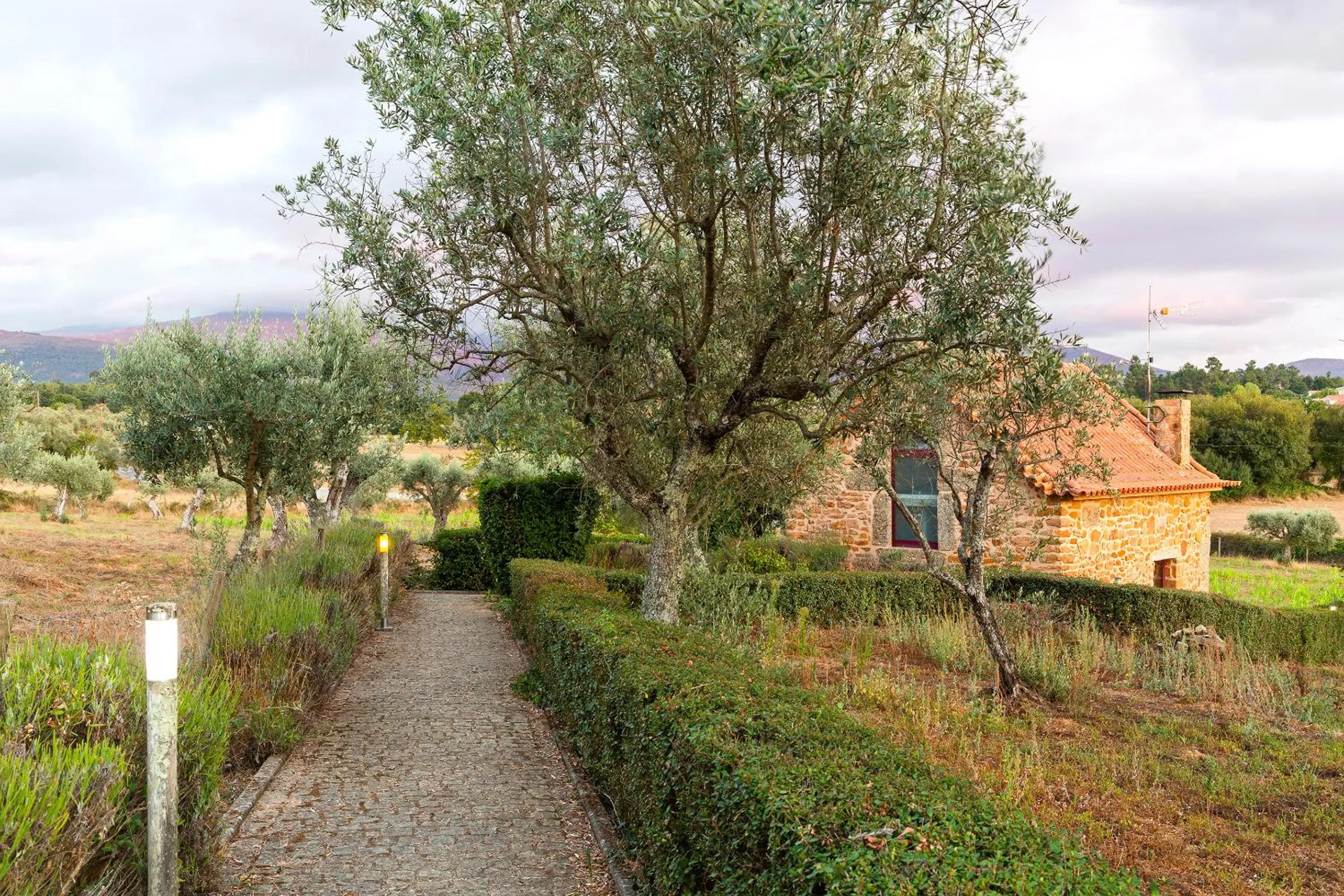 Quinta do Chão da Vinha