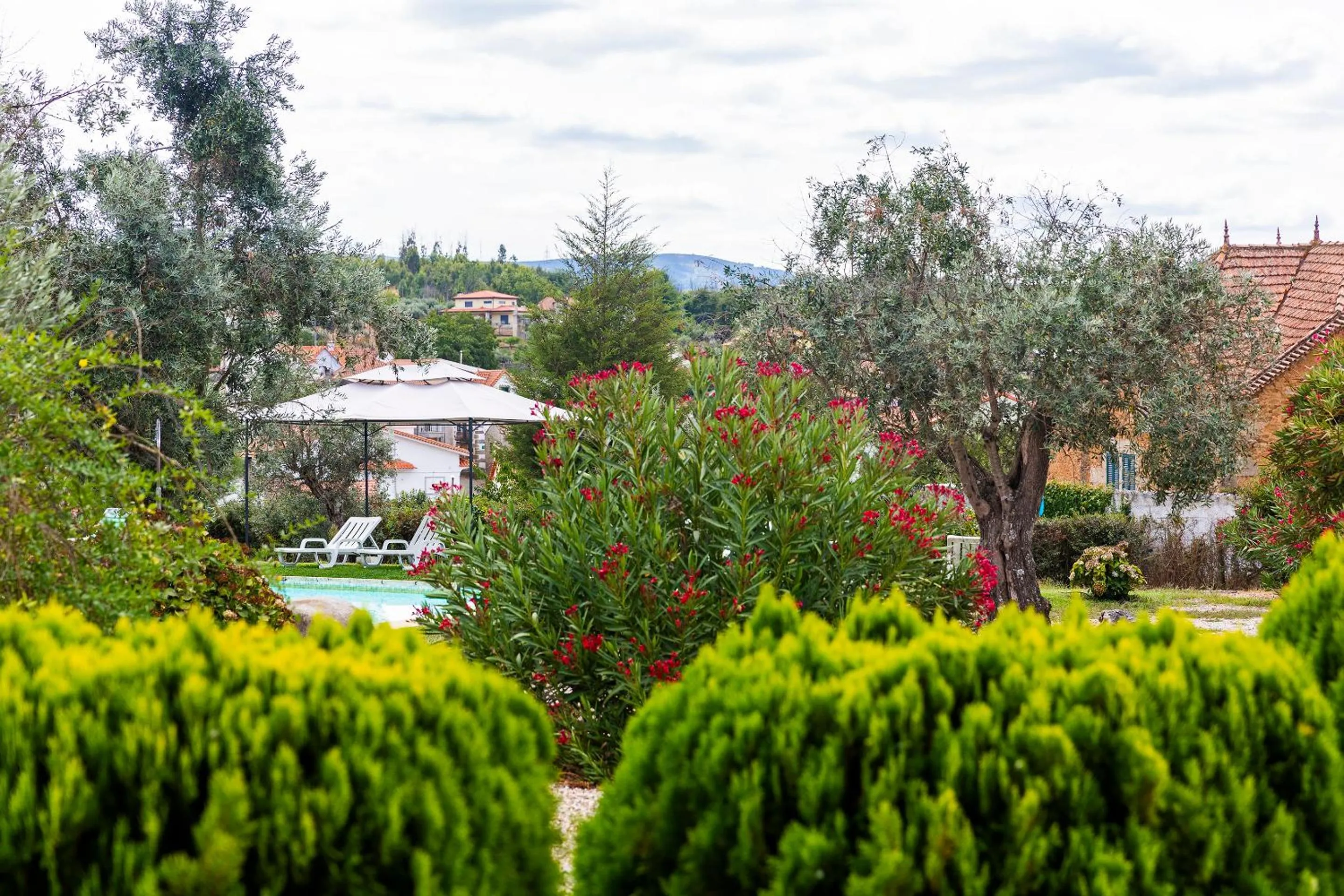 Quinta do Chão da Vinha