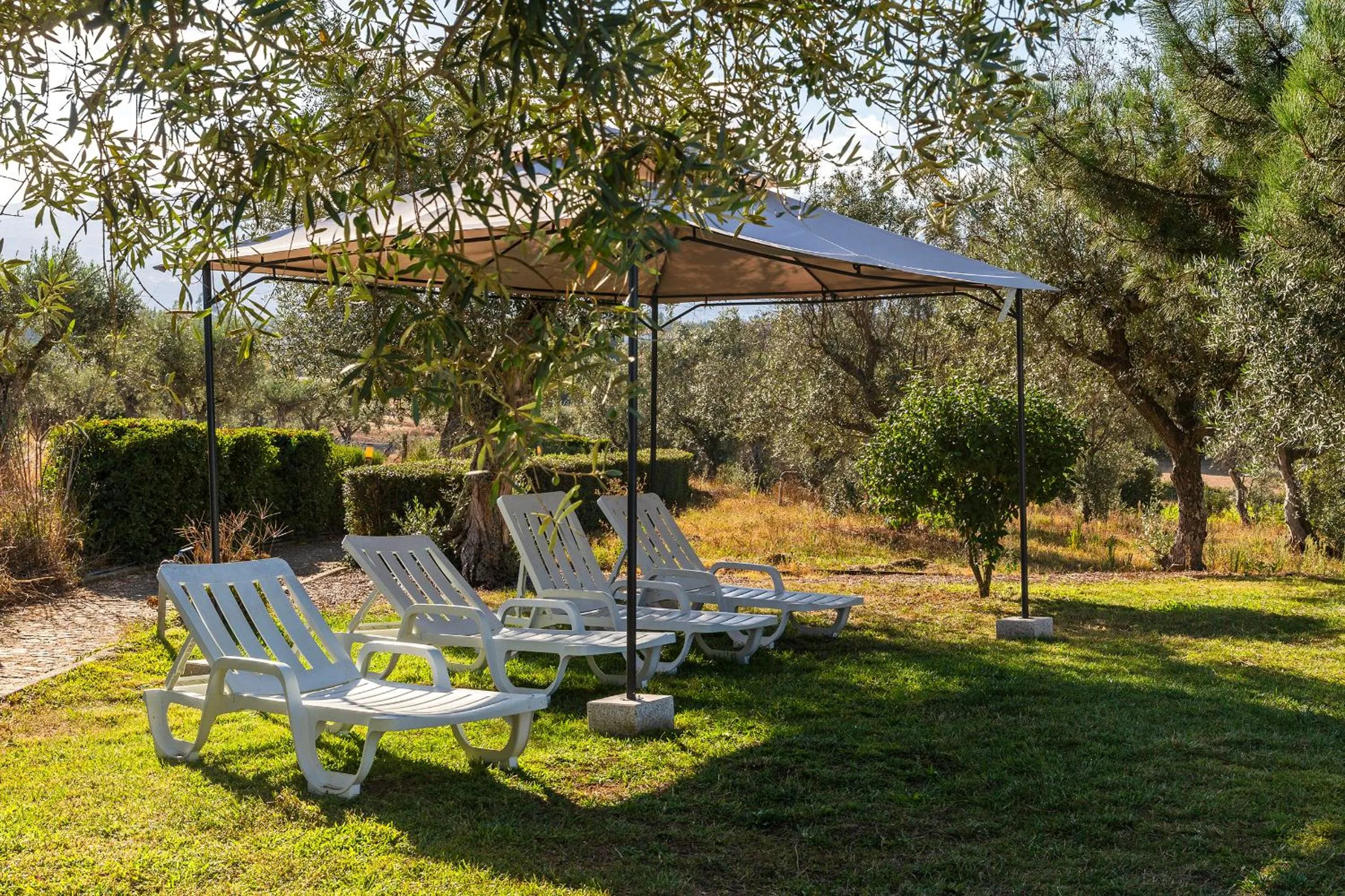 Quinta do Chão da Vinha