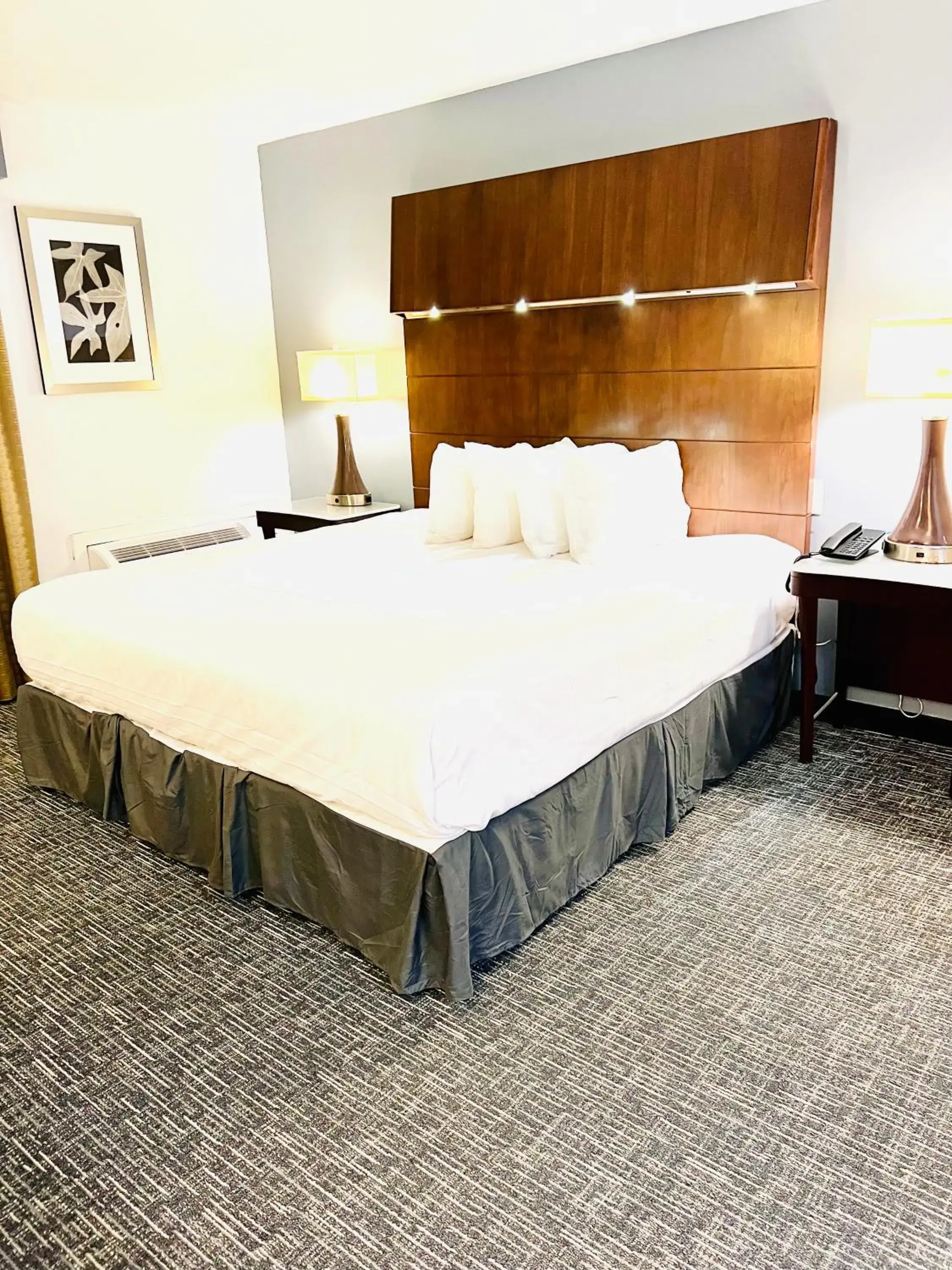 One Bedroom King Suite - Non Smoking in Quality Inn & Suites One Bedroom King Suite - Non Smoking in Quality Inn & Suites