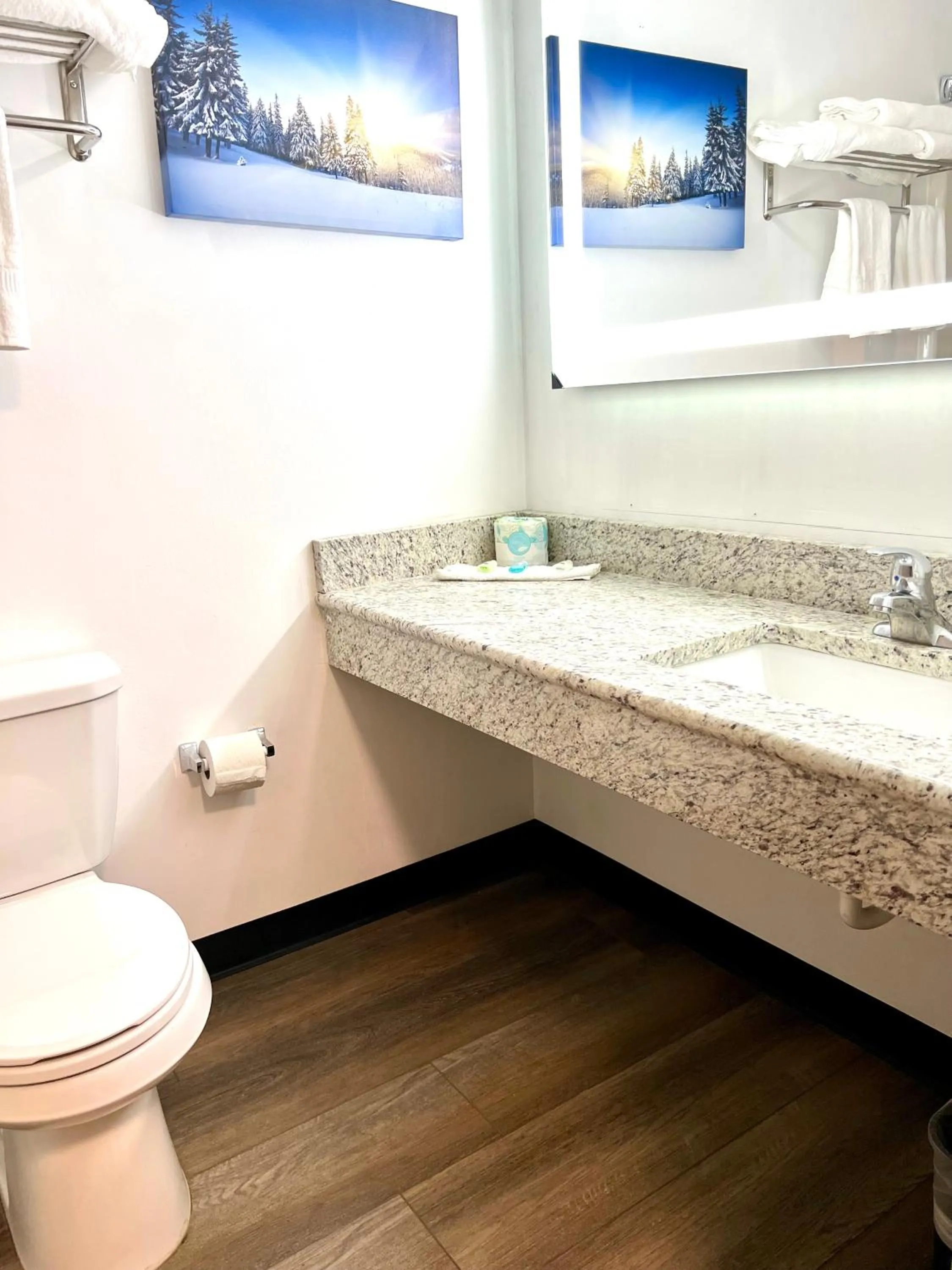 Toilet in Quality Inn & Suites Caribou