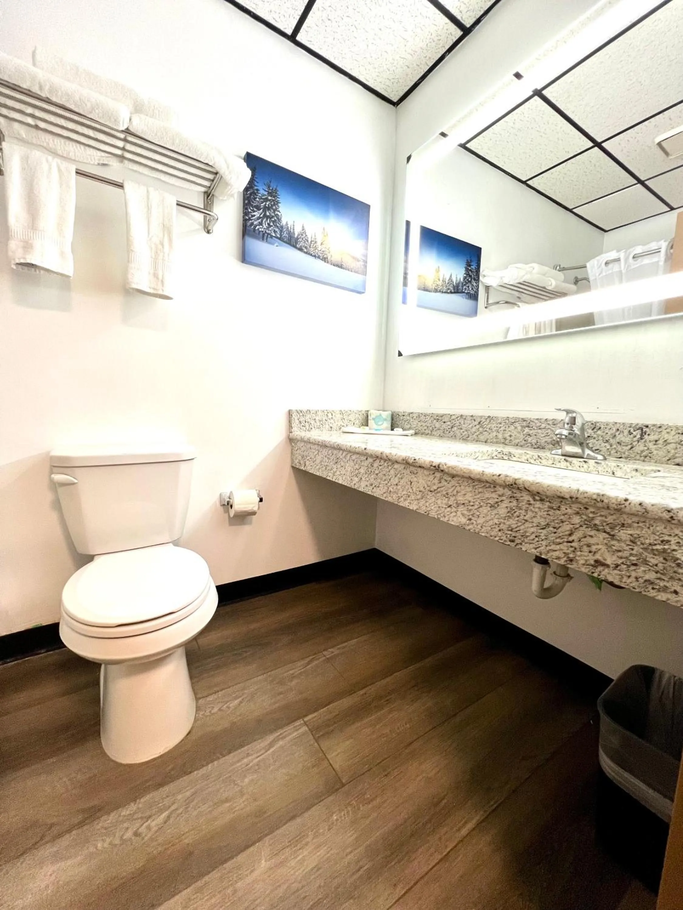 Toilet in Quality Inn & Suites Caribou