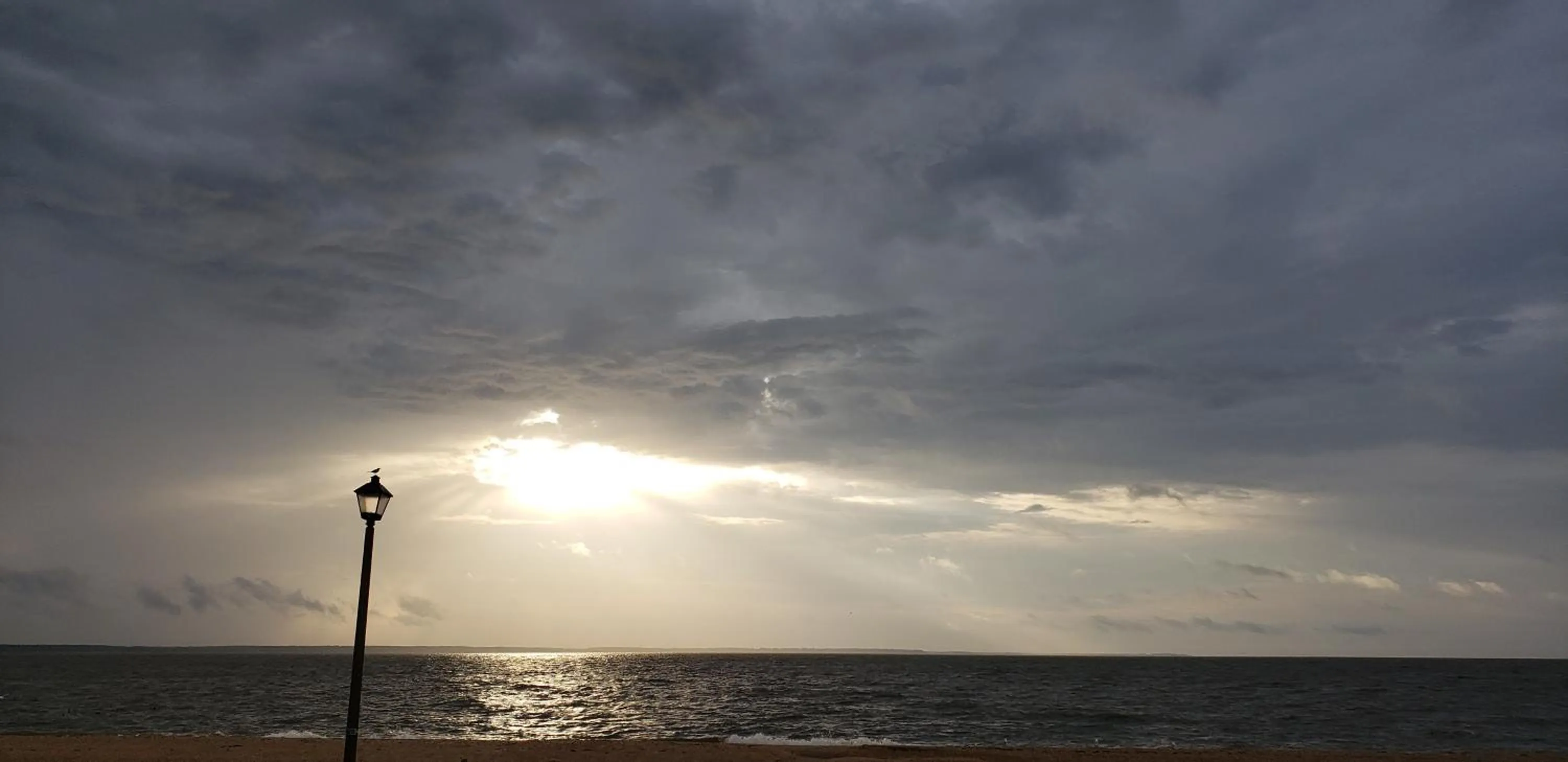 Natural landscape in River Edge Inn