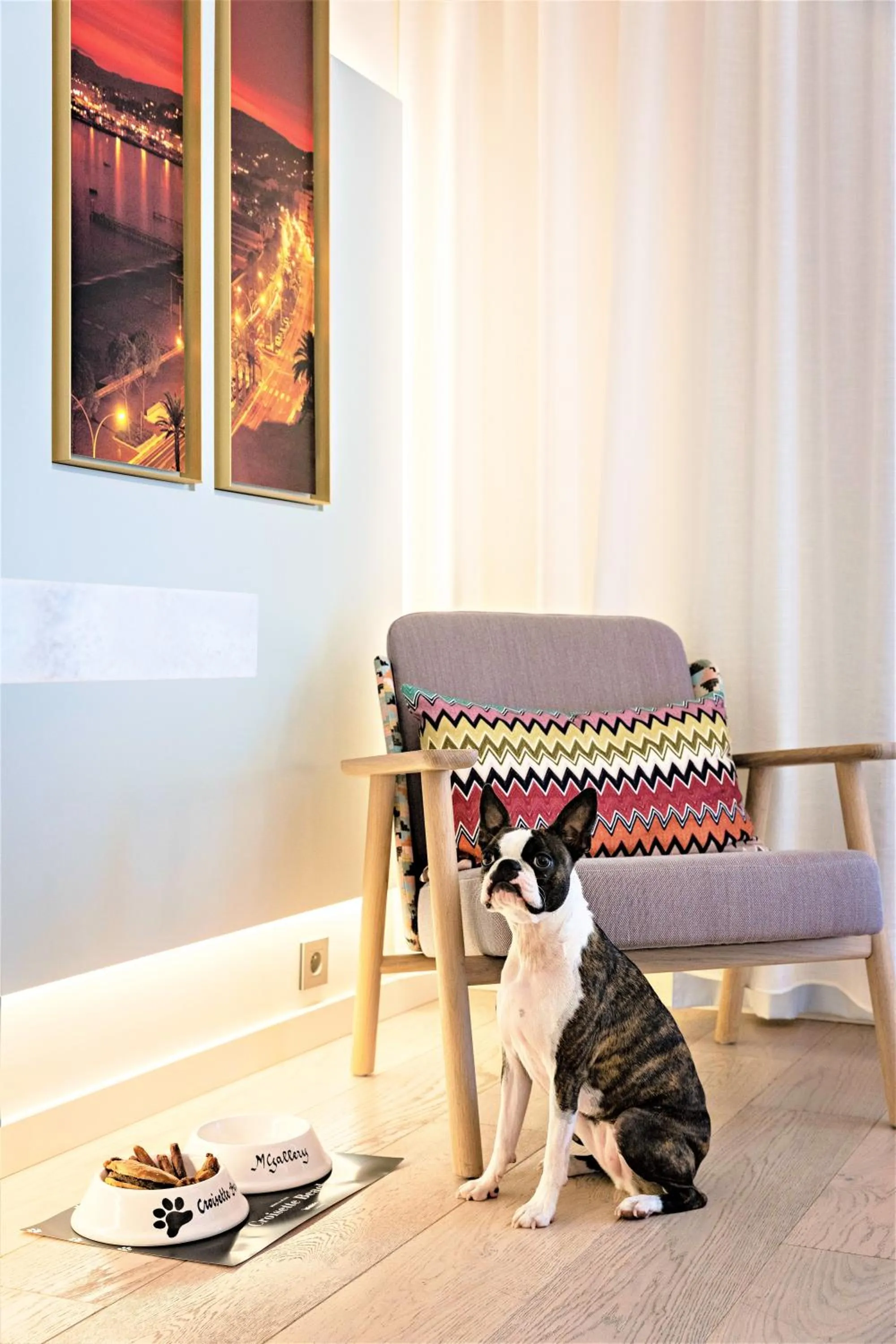 Pets in Croisette Beach Hotel Cannes - MGallery Collection