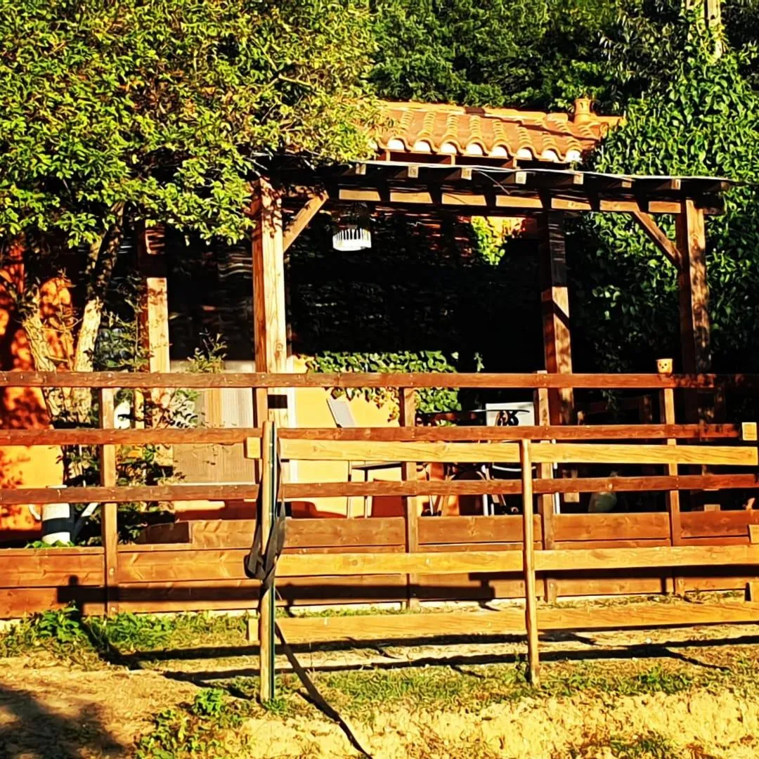 Balcony/Terrace in Chambre d'hôtes Le Petit Ranch