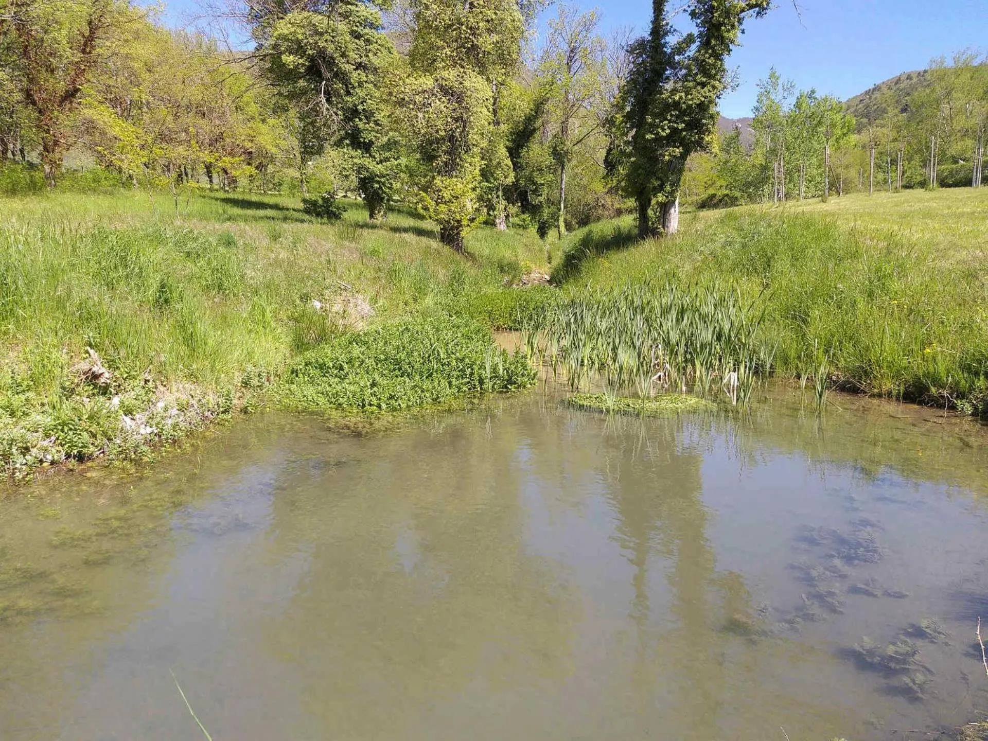 Natural landscape in Les Chalets de Saint Maurice (Dieulefit)
