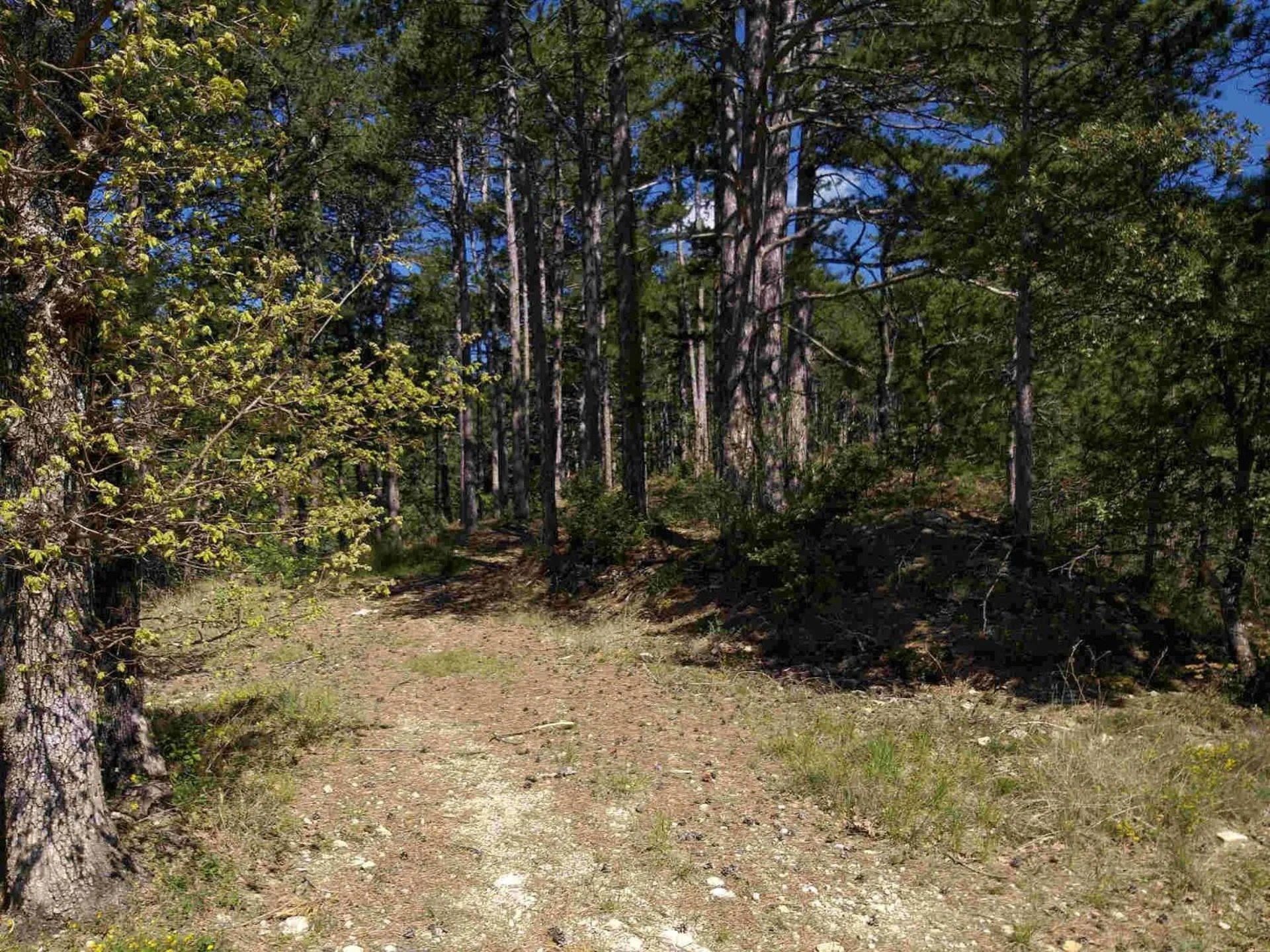 Natural landscape in Les Chalets de Saint Maurice (Dieulefit)