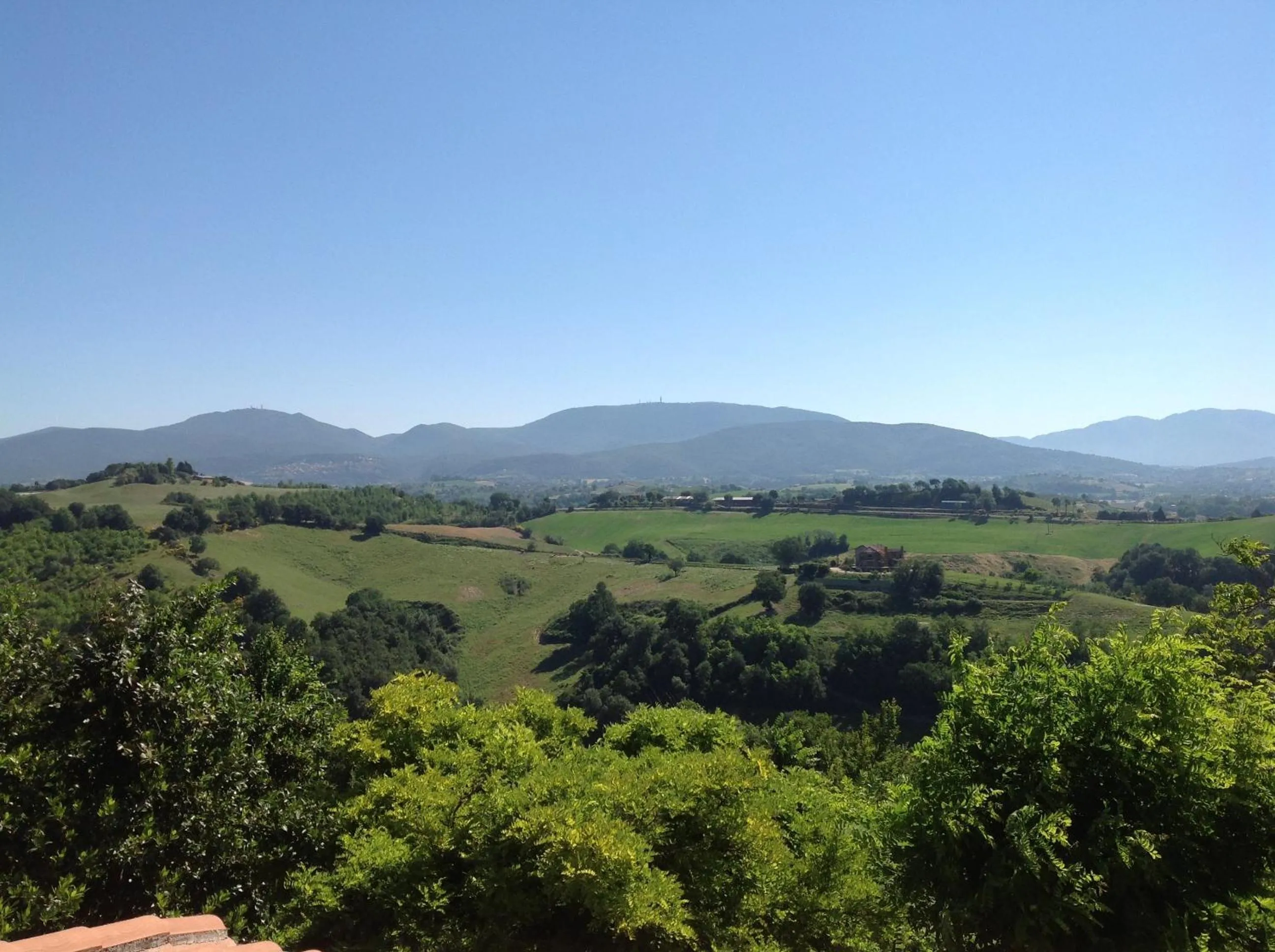 Spring in Corte Buenavista