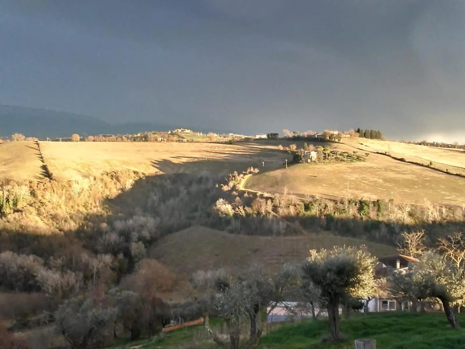 View (from property/room) in Corte Buenavista