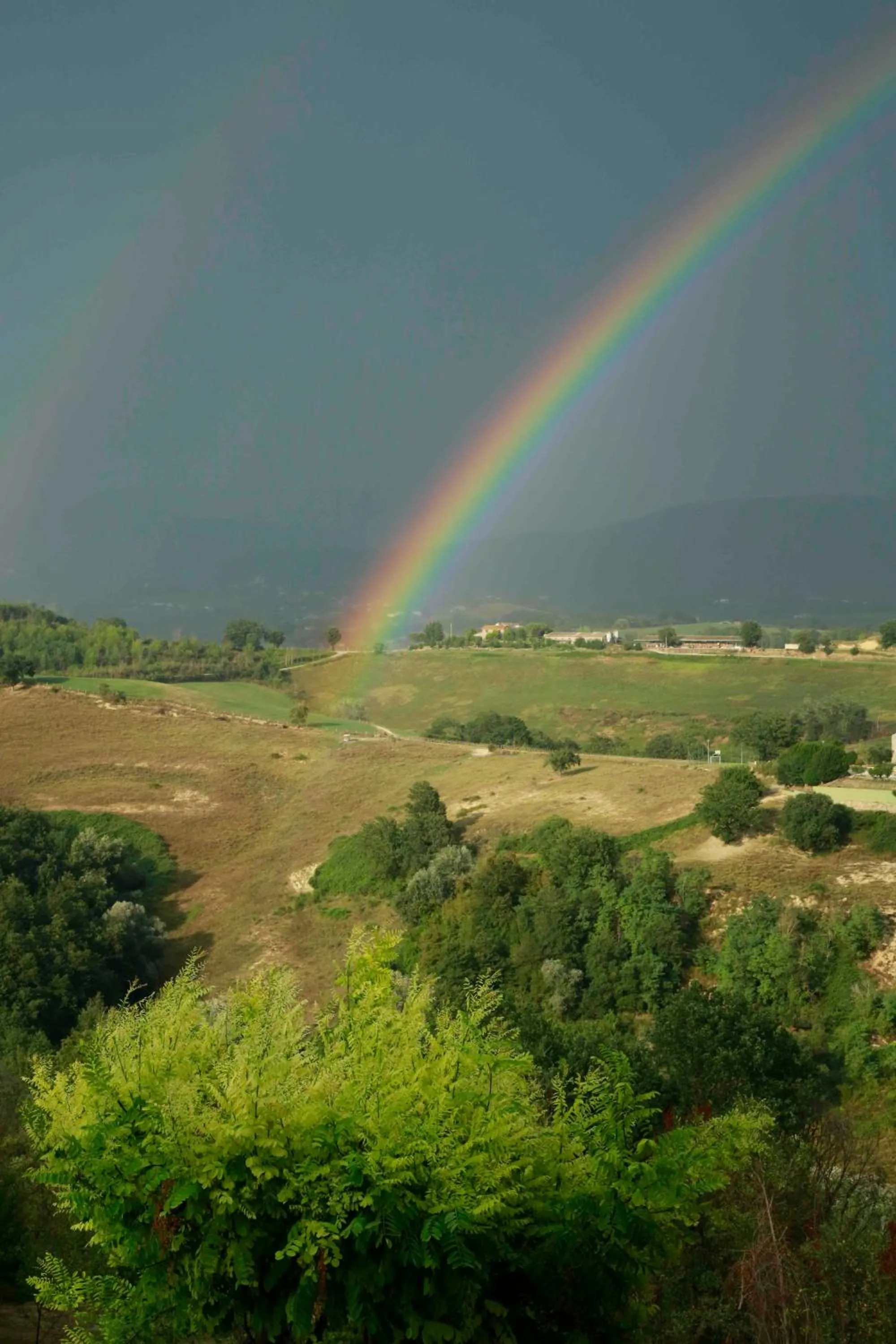 Natural landscape in Corte Buenavista