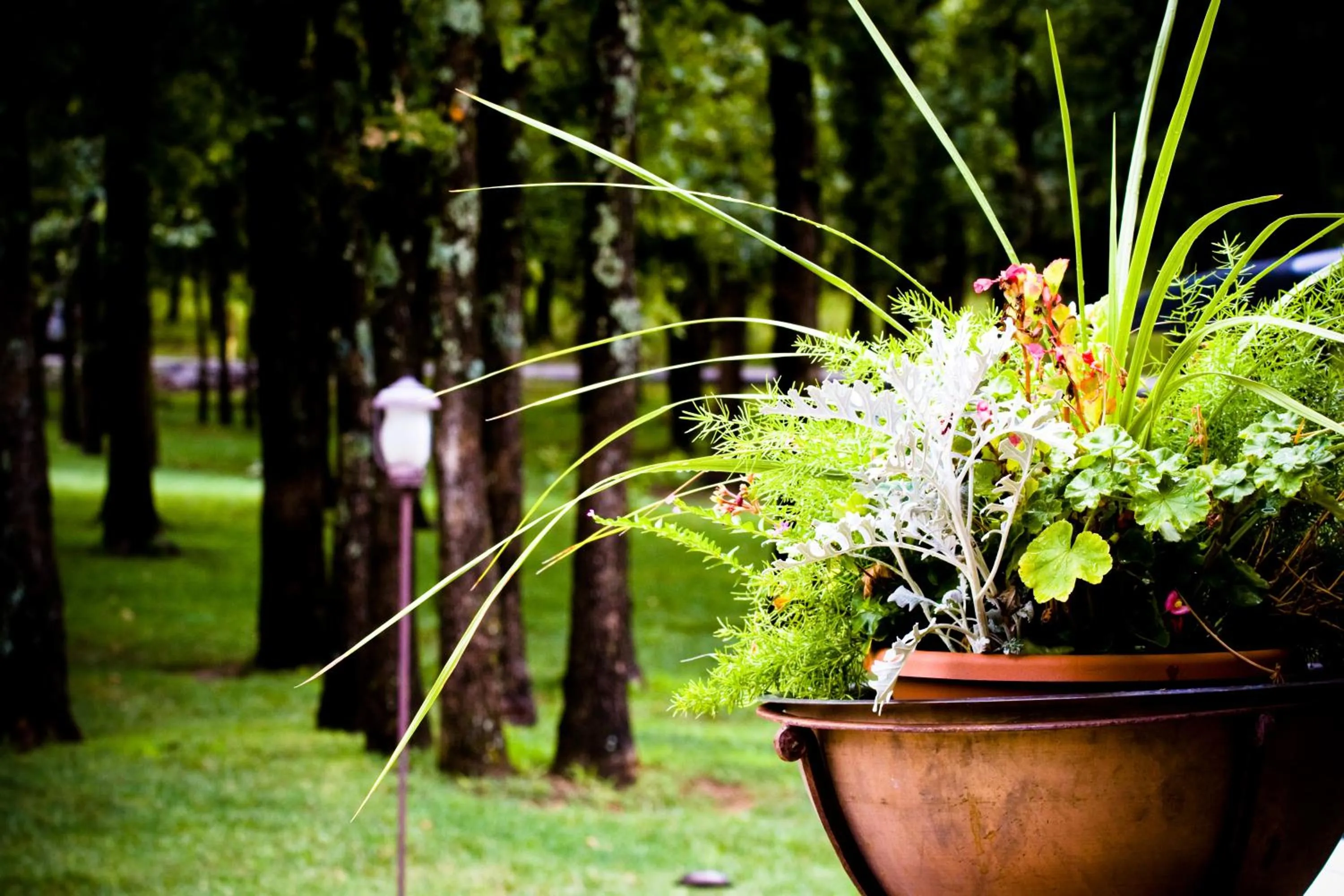 Garden in POSTOAK Lodge and Retreat