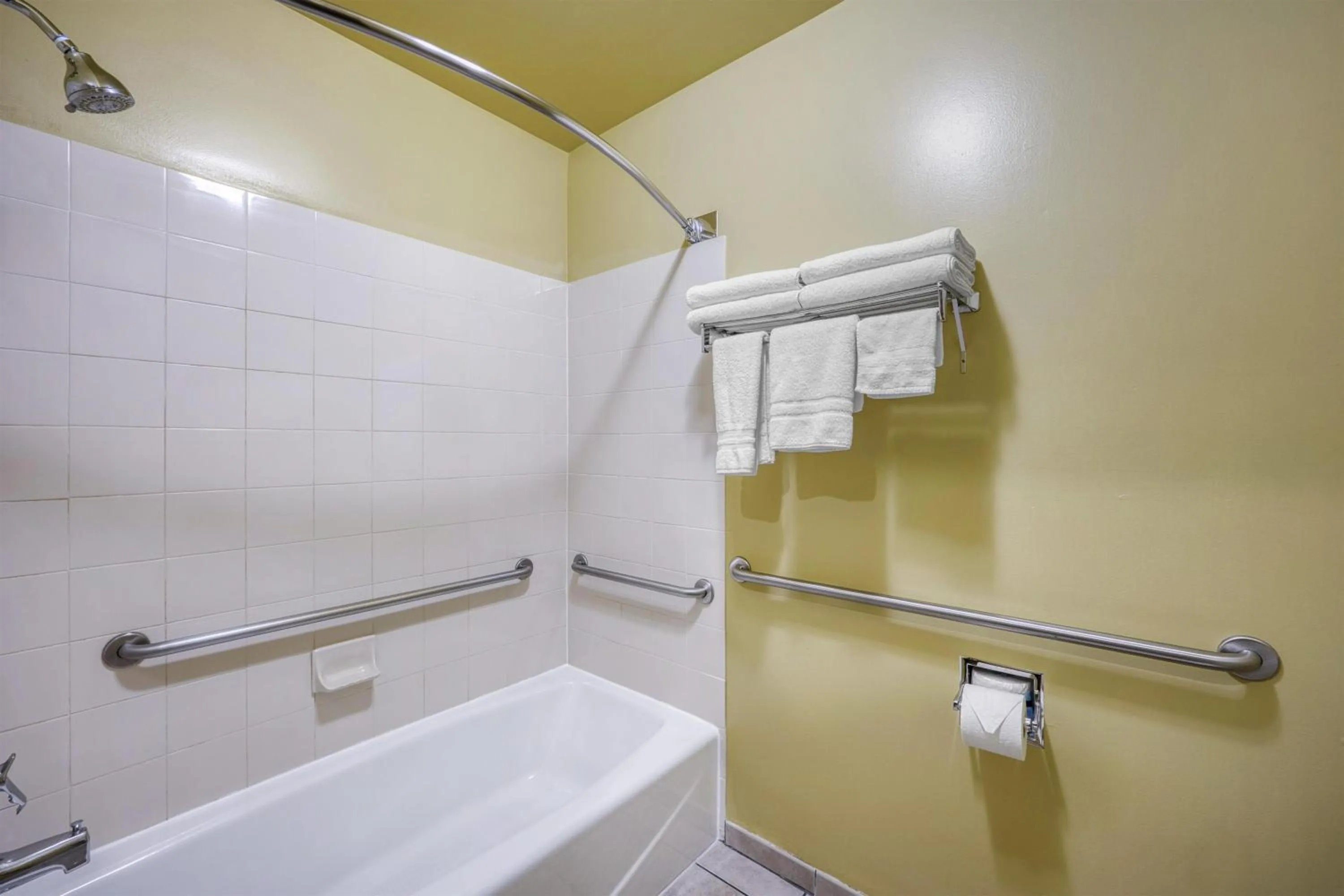 Bathroom in Best Western Blackfoot Inn