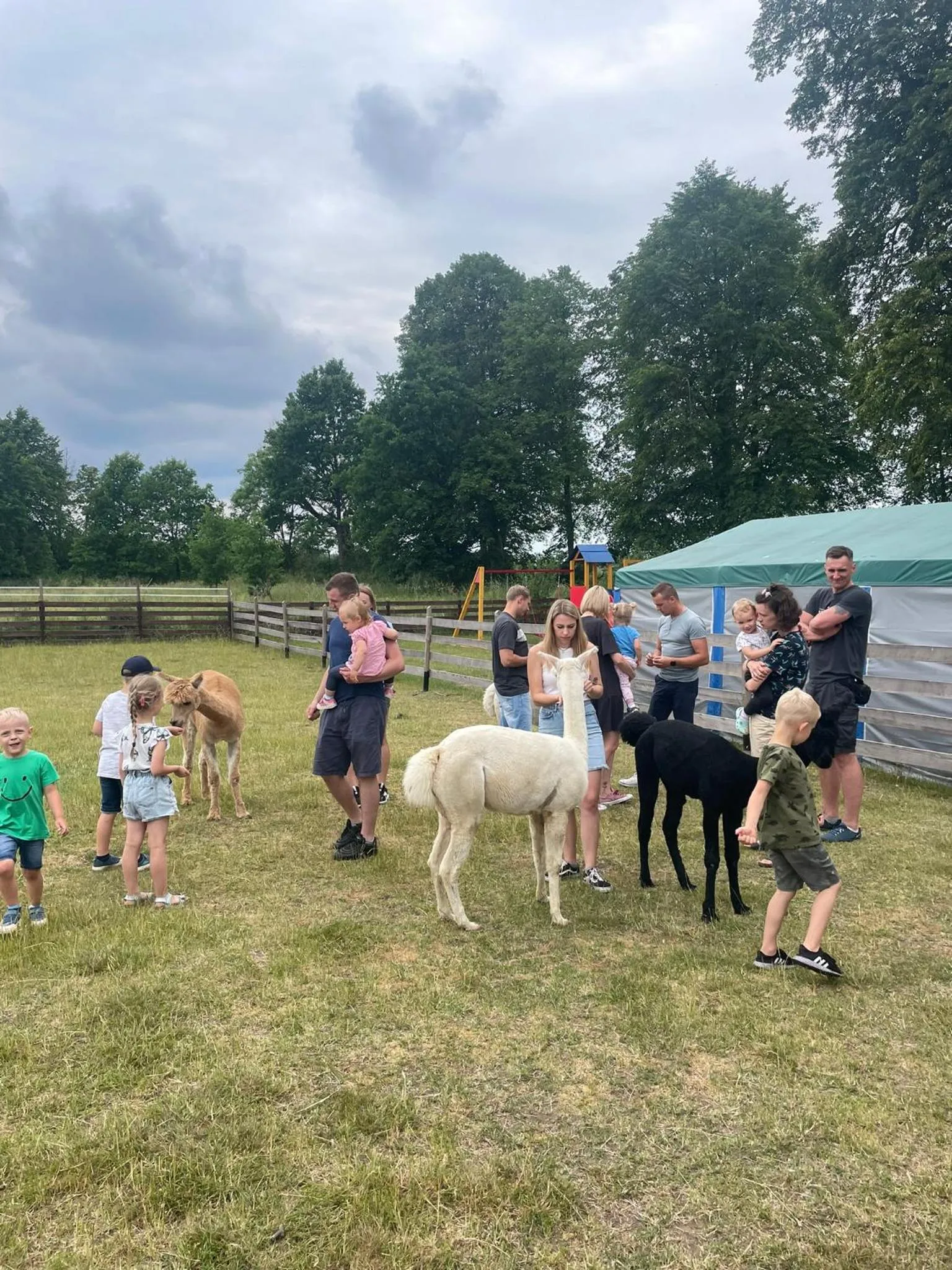 Wypoczynek pod Lipami