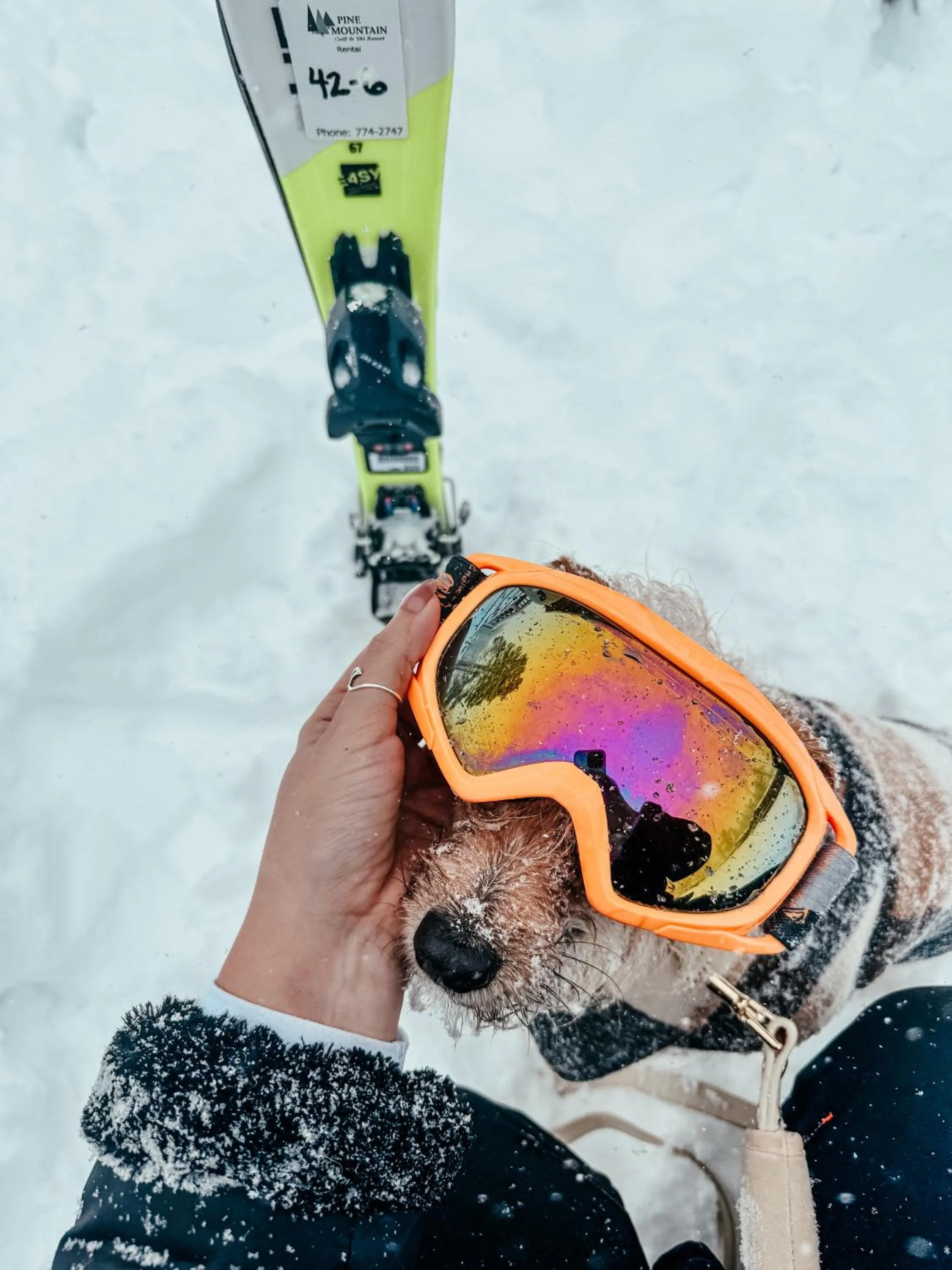 Skiing in Pine Mountain Resort