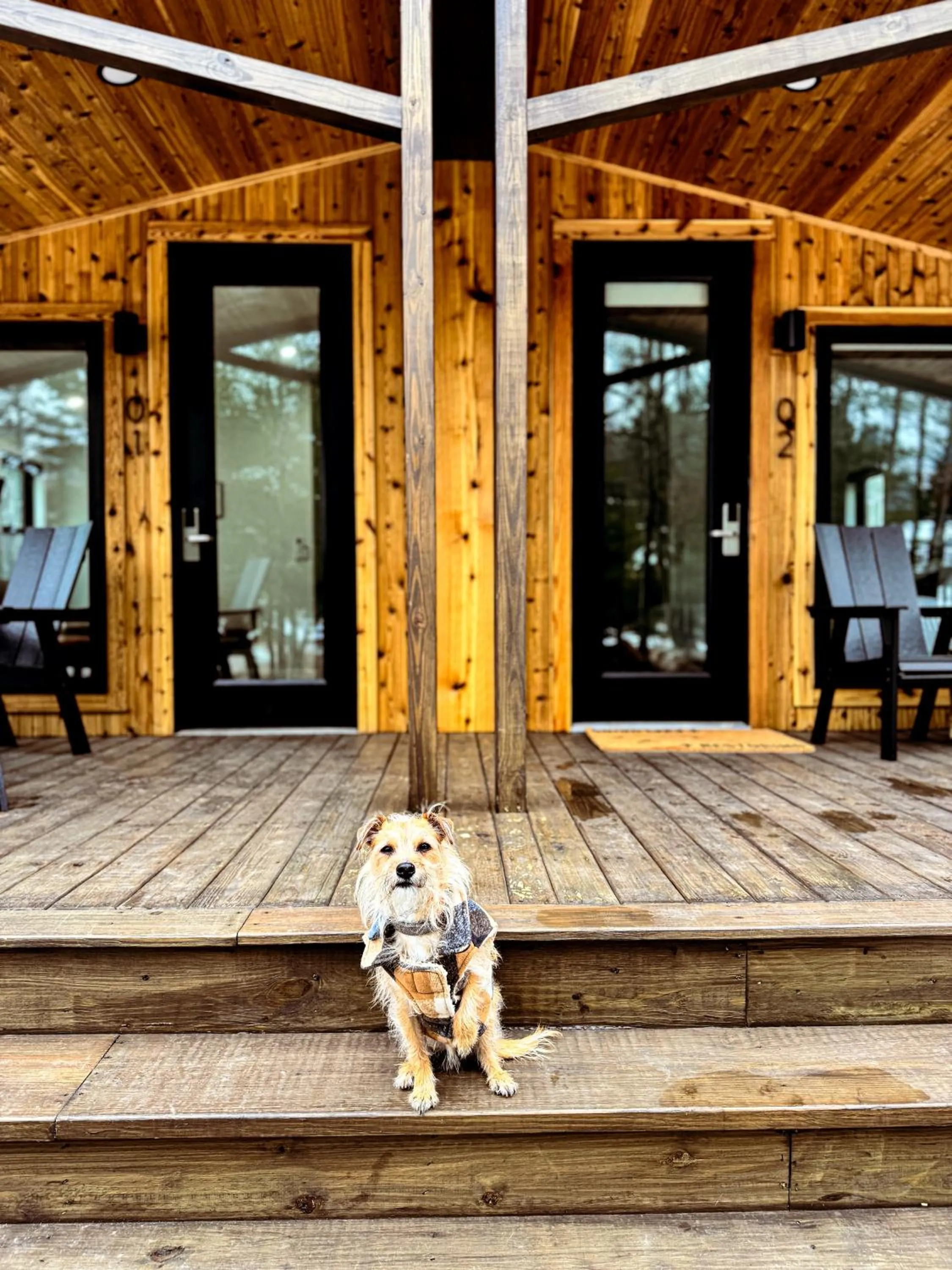 Pets in Pine Mountain Resort