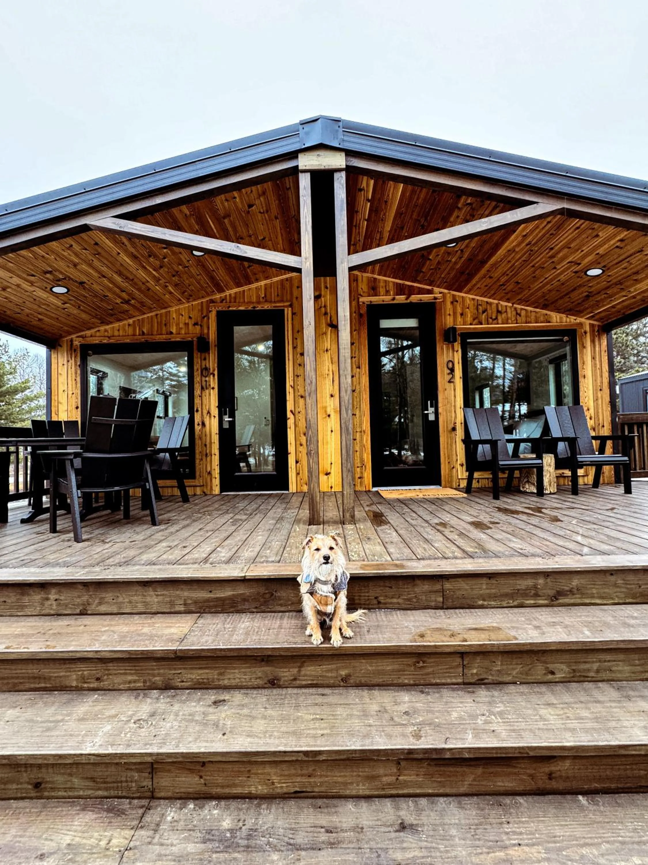 pet friendly in Pine Mountain Resort