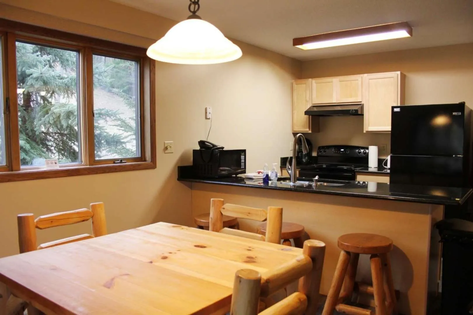 Kitchen or kitchenette in Pine Mountain Resort