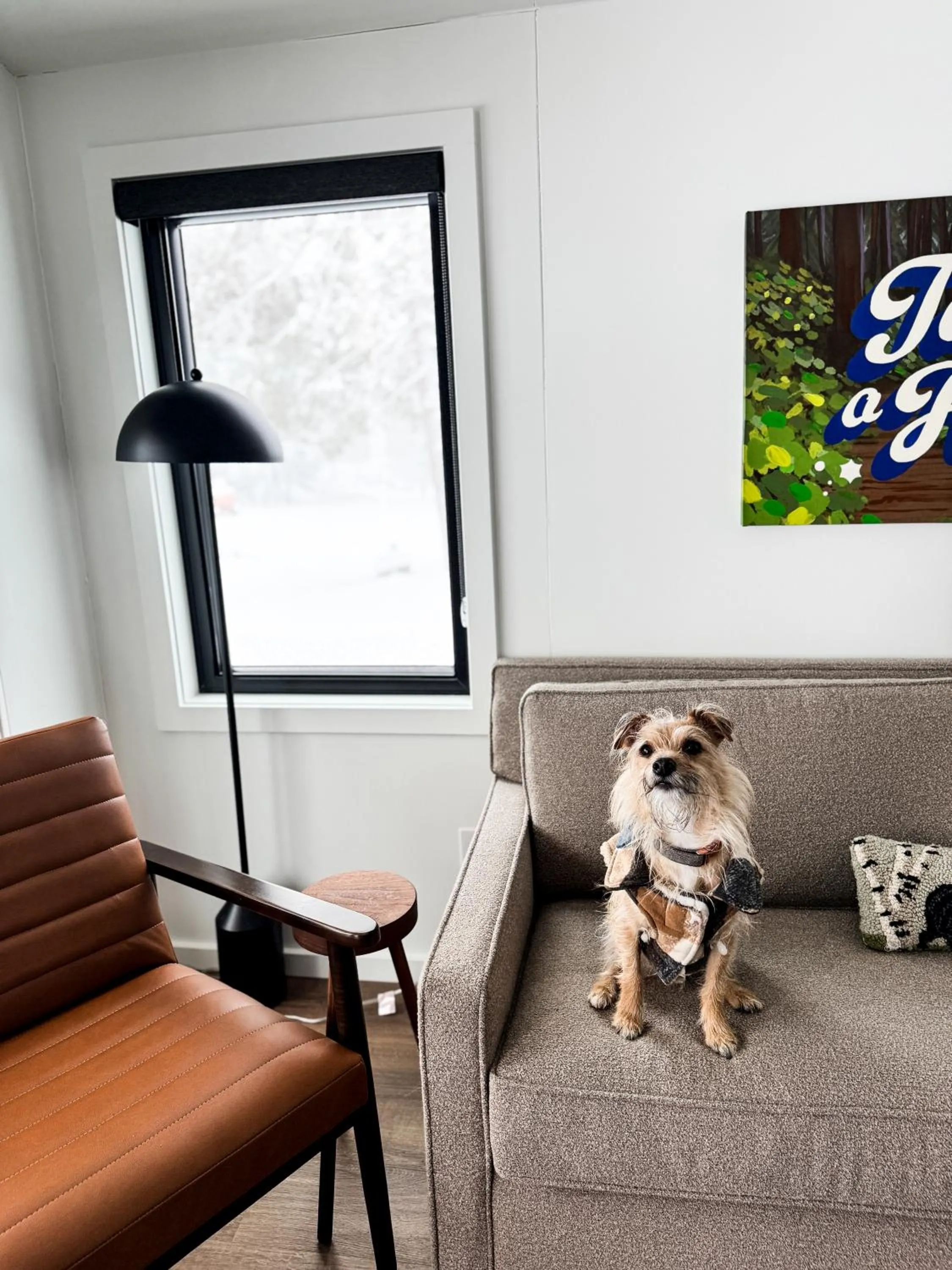 Living room in Pine Mountain Resort