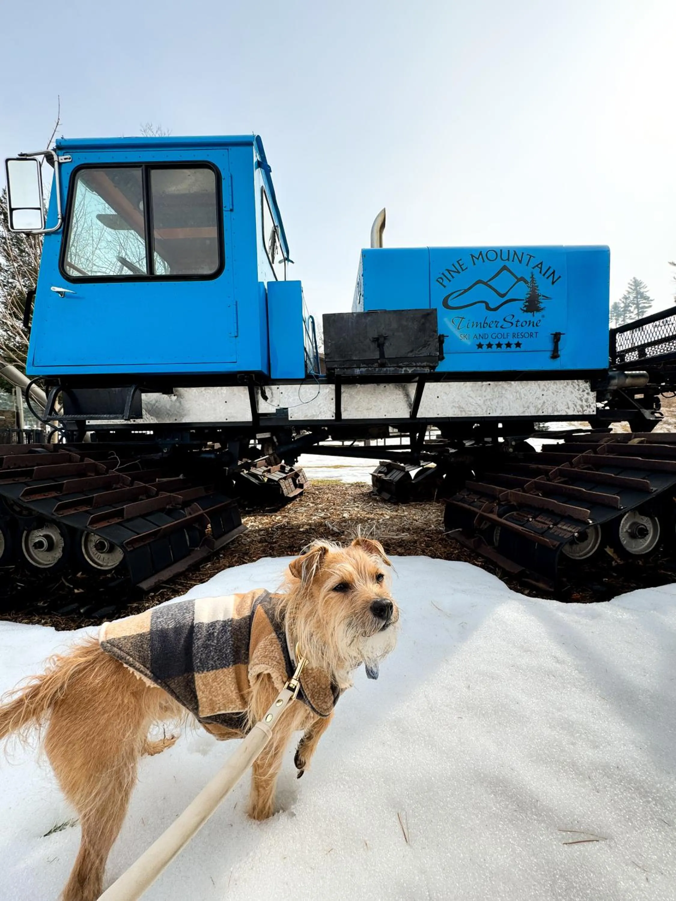 Property building in Pine Mountain Resort