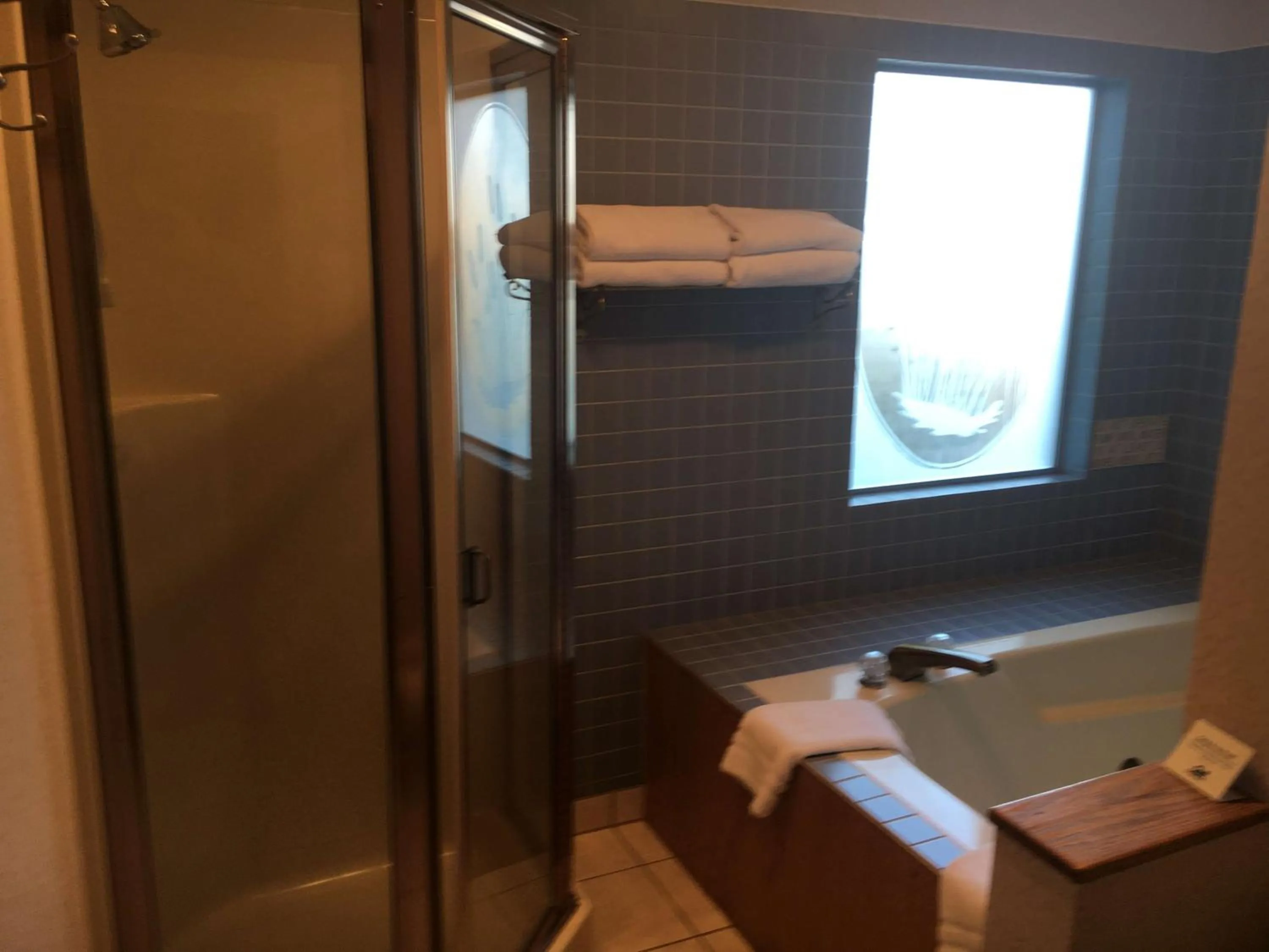 Bathroom in RiverTree Inn & Suites