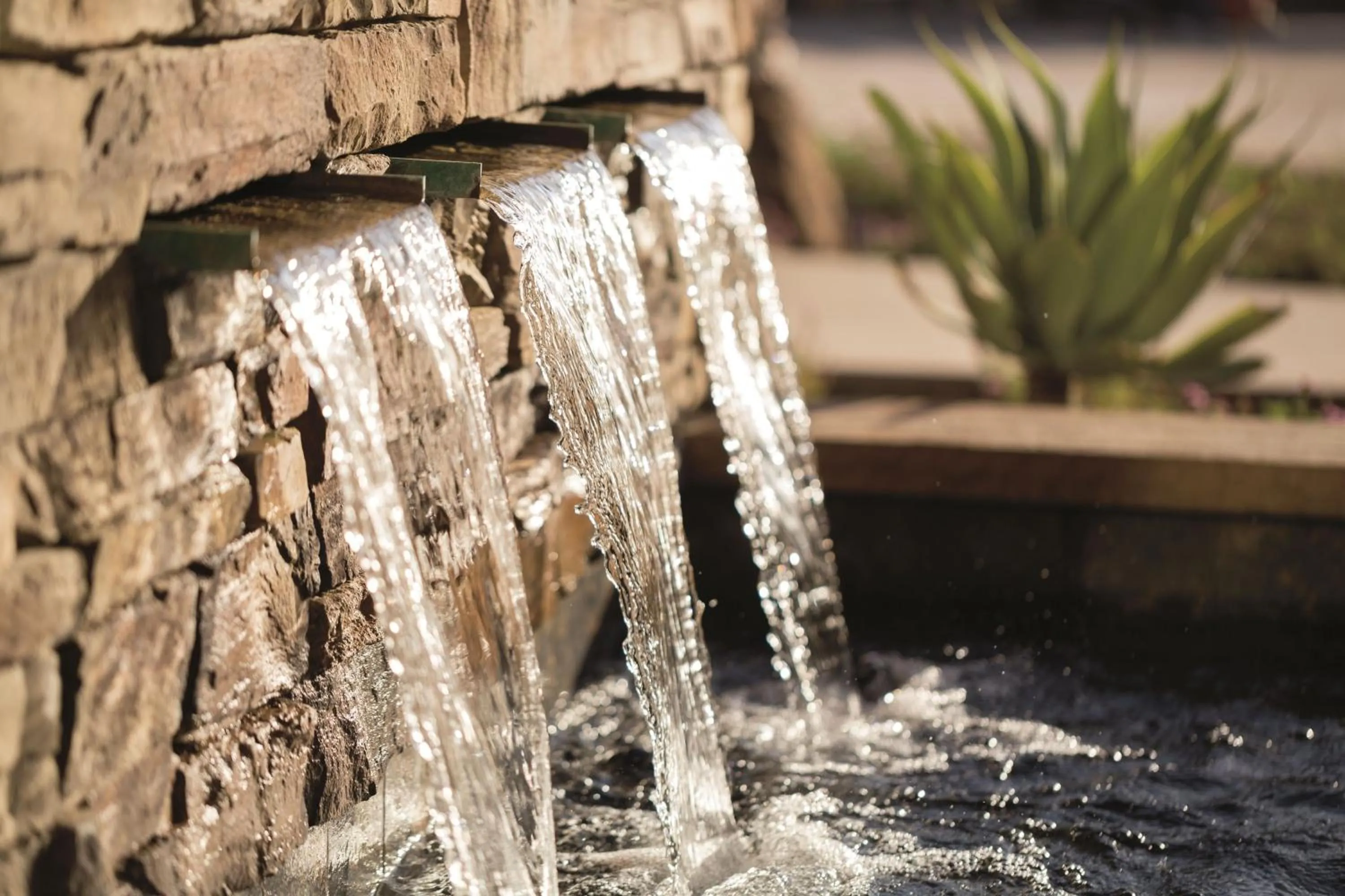 Spa and wellness centre/facilities in The Ritz-Carlton, Rancho Mirage