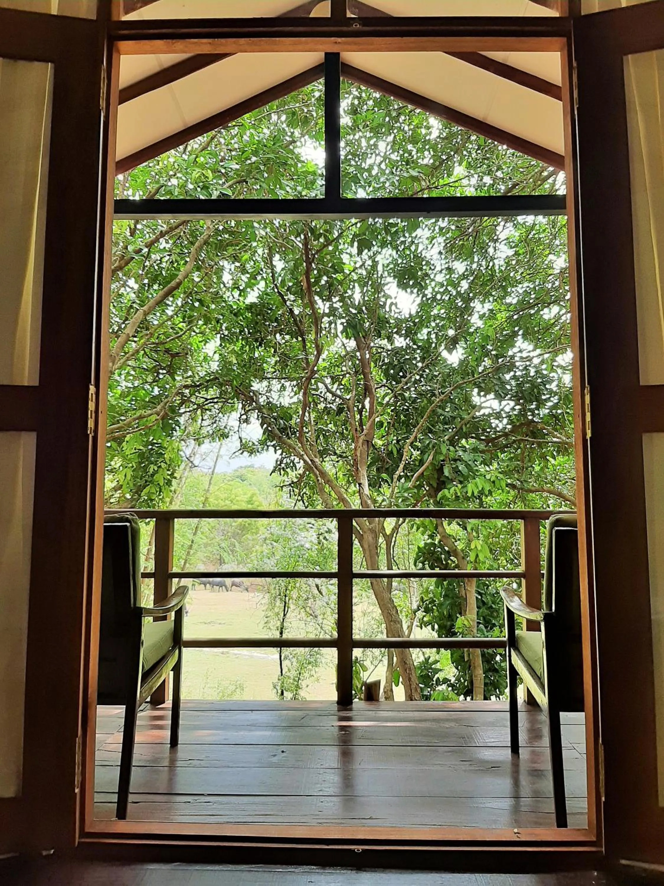 View (from property/room) in Elephant Lodge