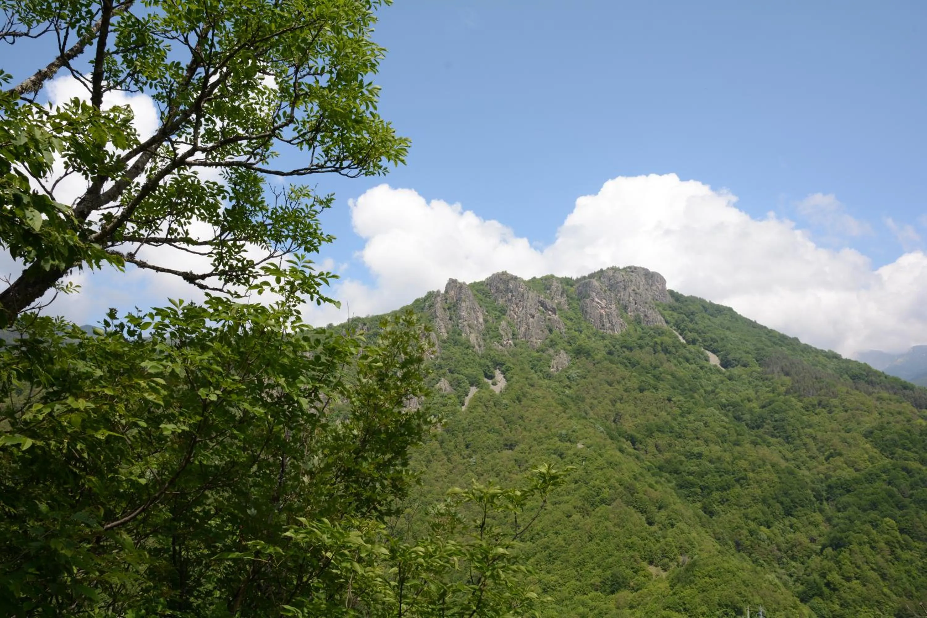 Natural landscape in Hotel Apostolite