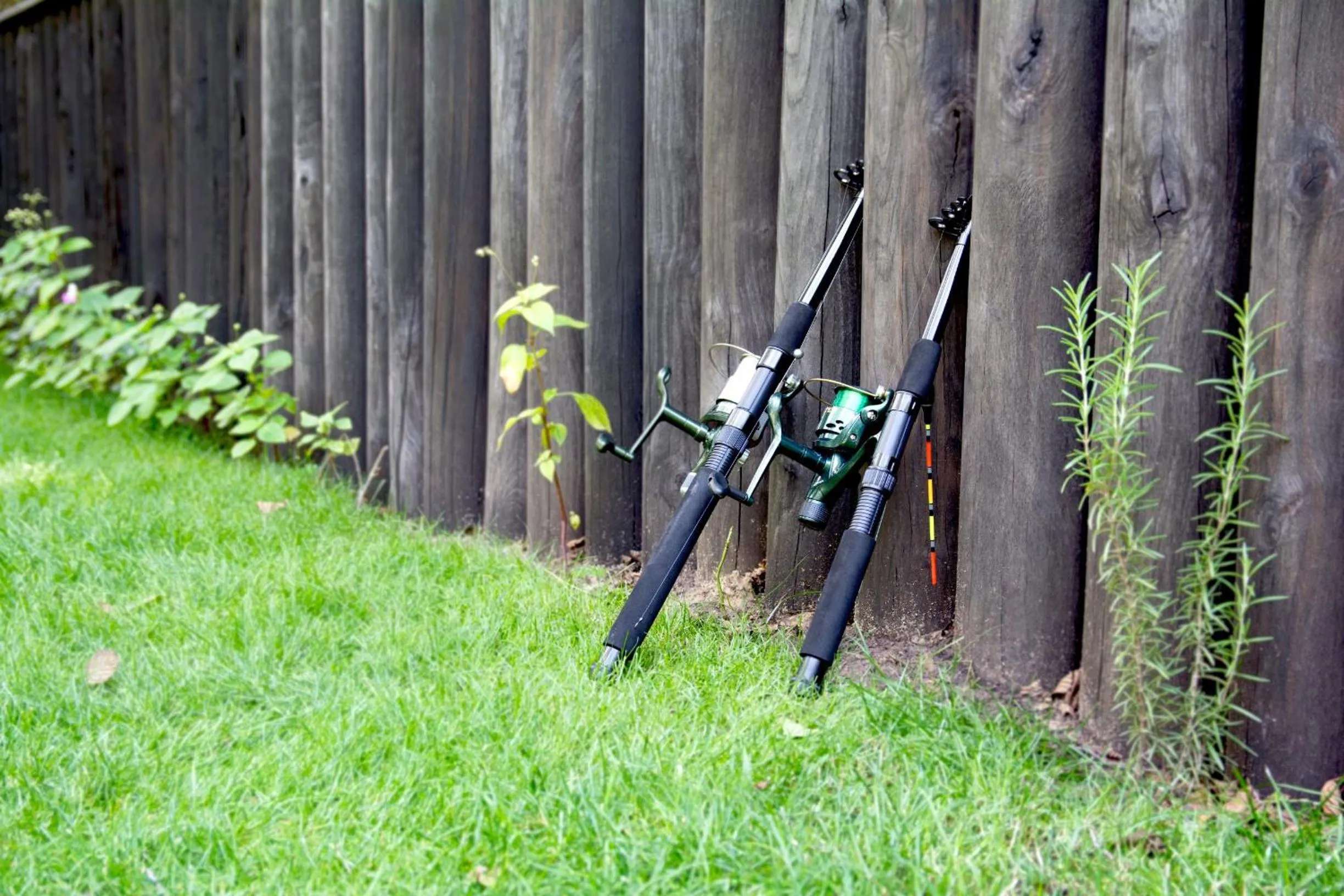 Fishing in Hotel Apostolite