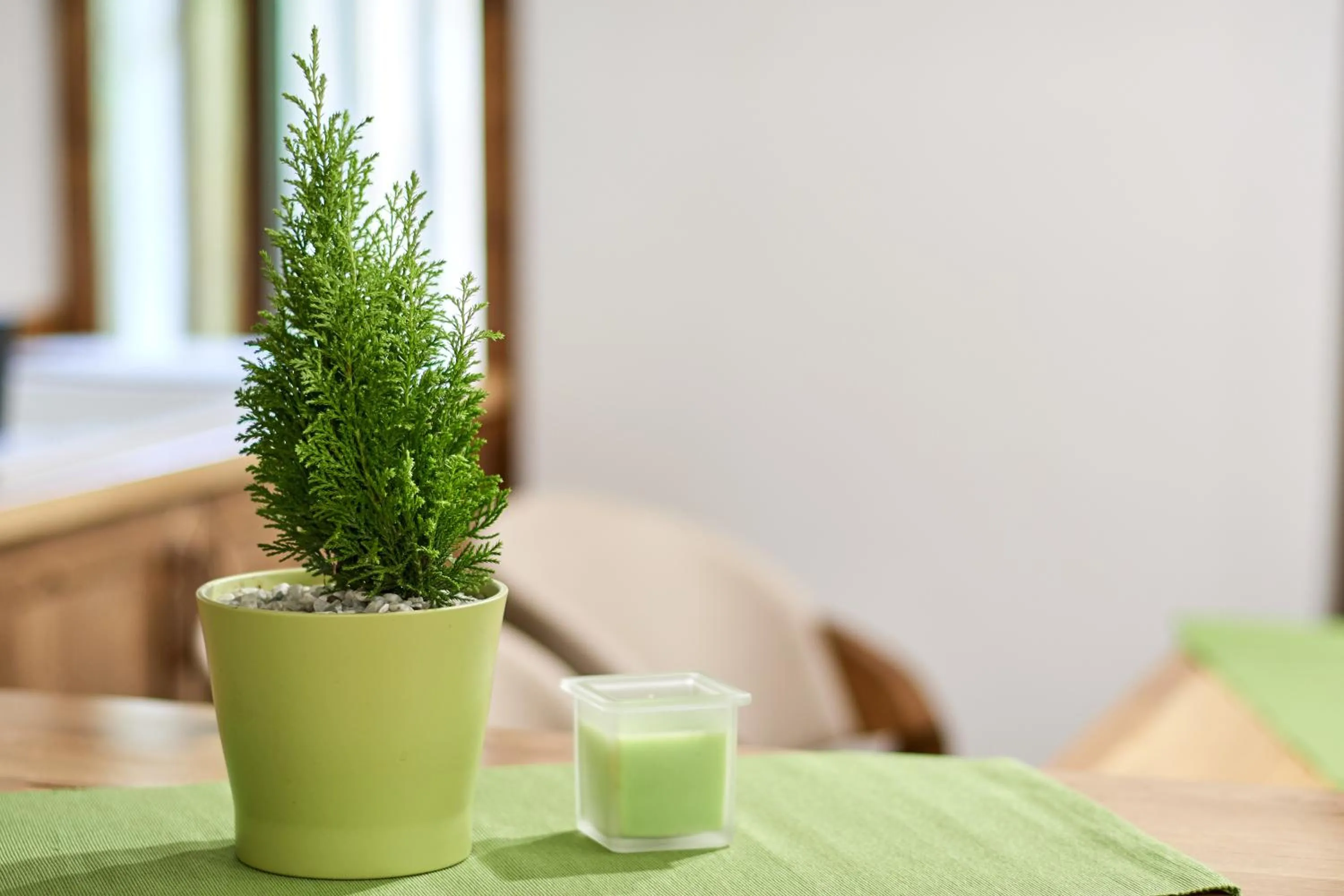 Decorative detail in Hotel Apostolite