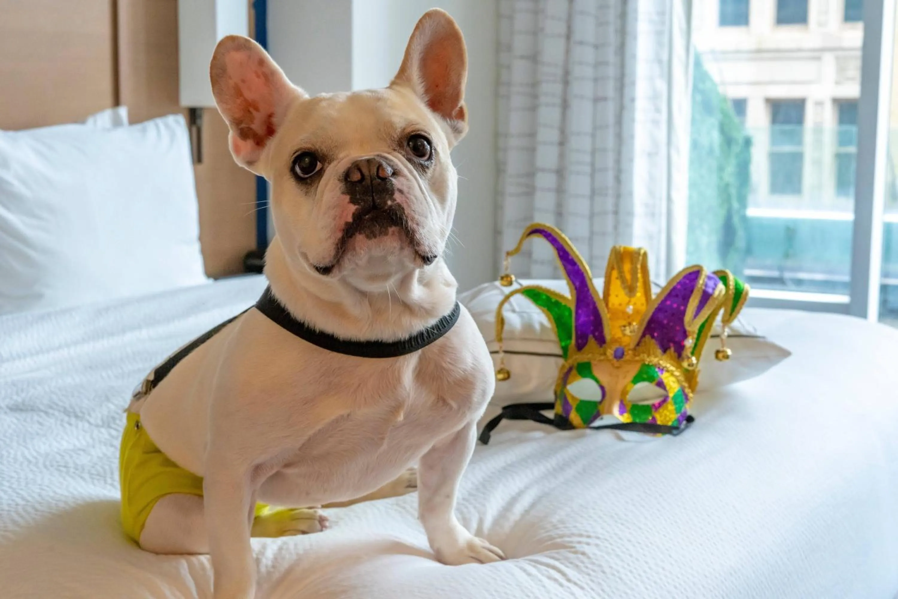 Other in Residence Inn by Marriott New Orleans French Quarter Area/Cen B