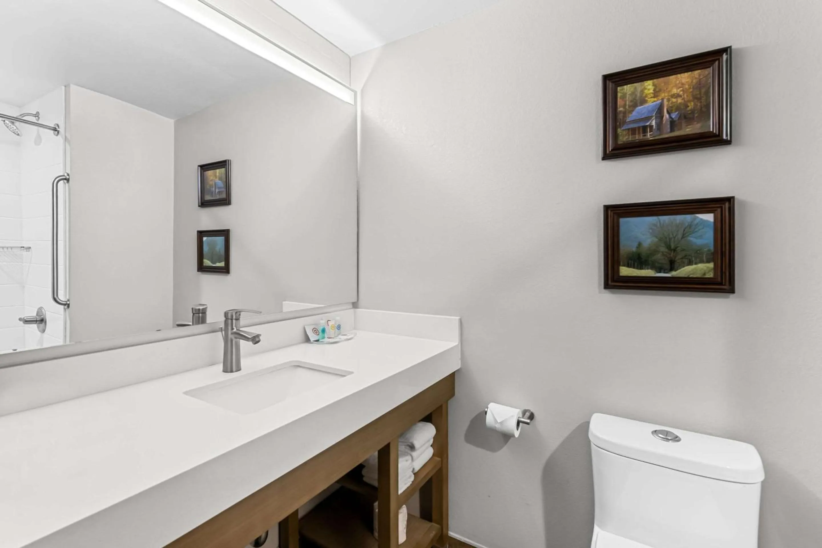 Bedroom in Comfort Suites Columbia I-65